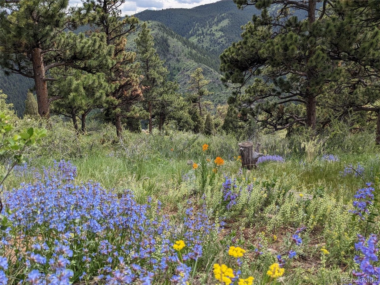 25421 Westridge Road Lot #1