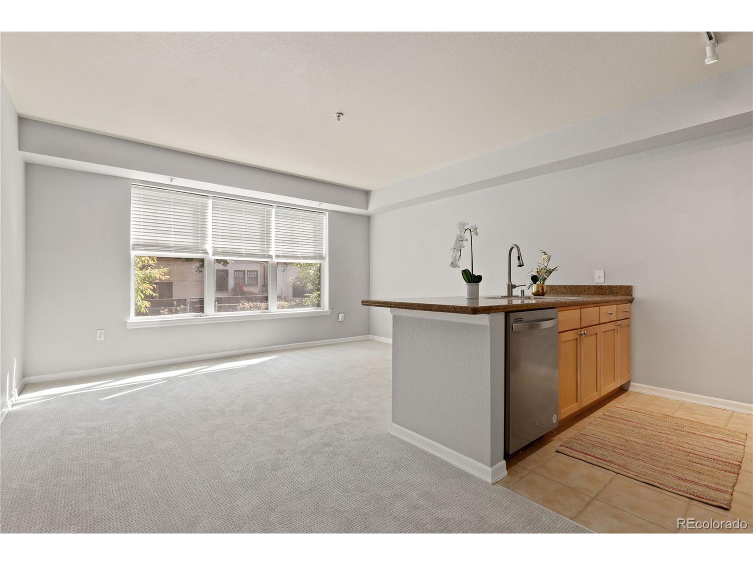 1623 Saint Paul St 209