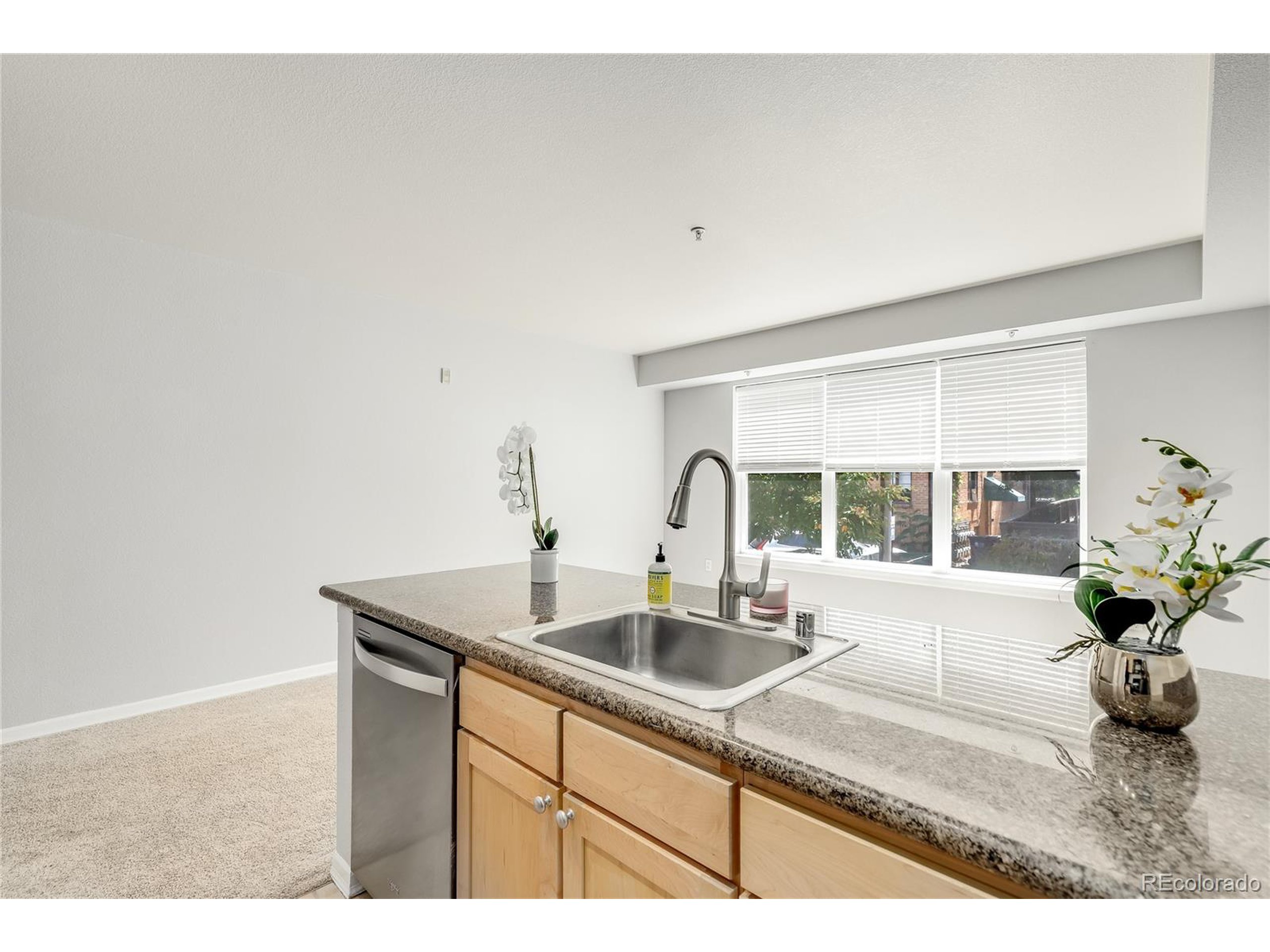 1623 Saint Paul St 209
