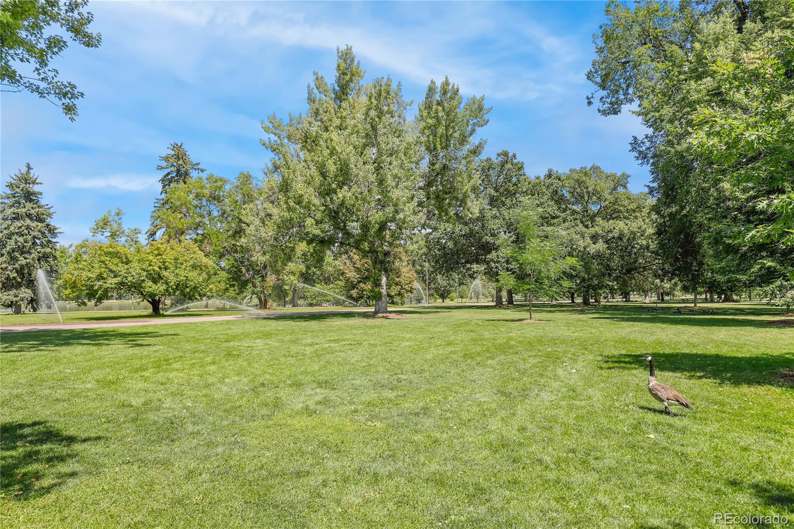 1623 Saint Paul Street Unit: 209