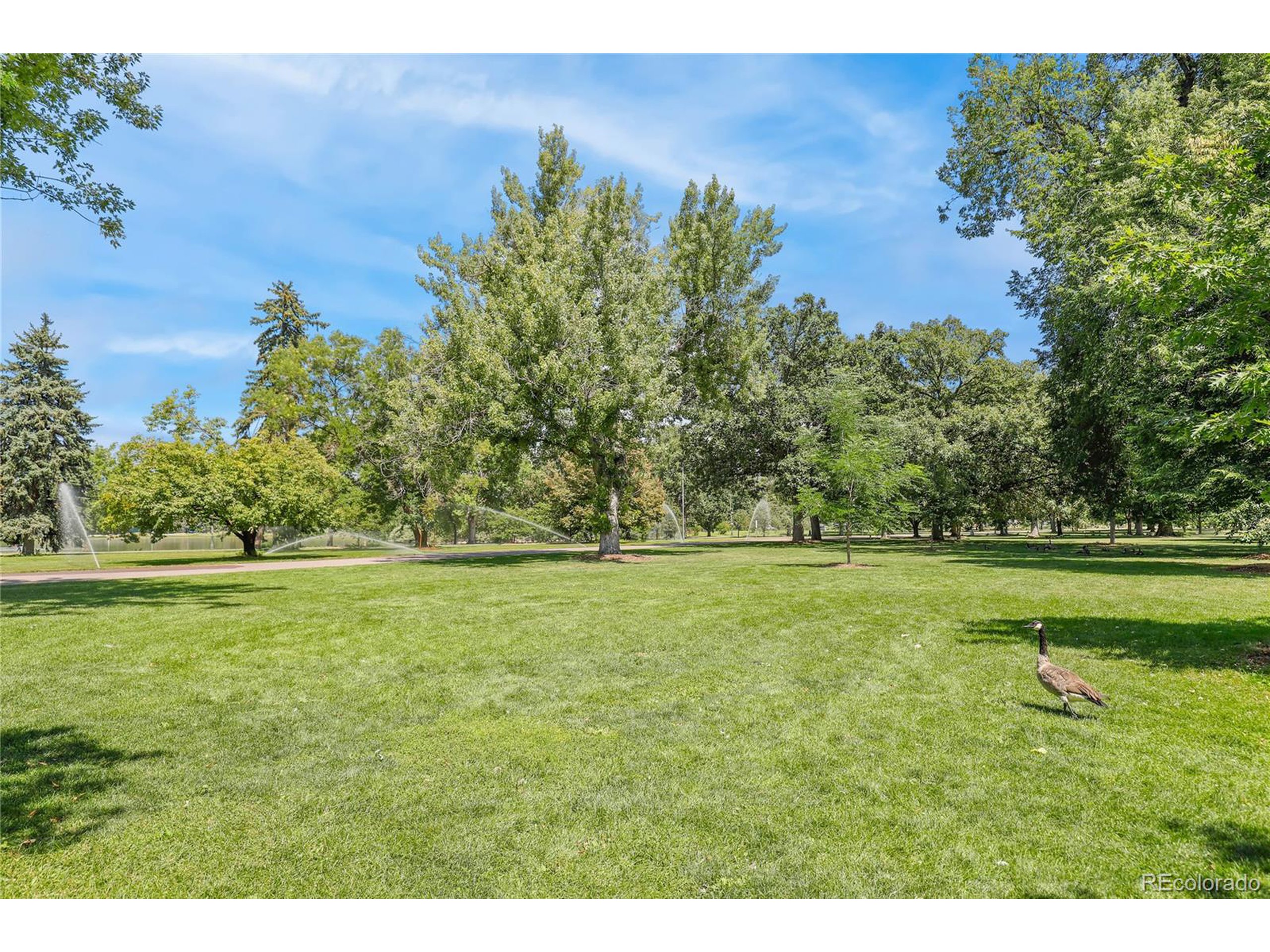 1623 Saint Paul St 209