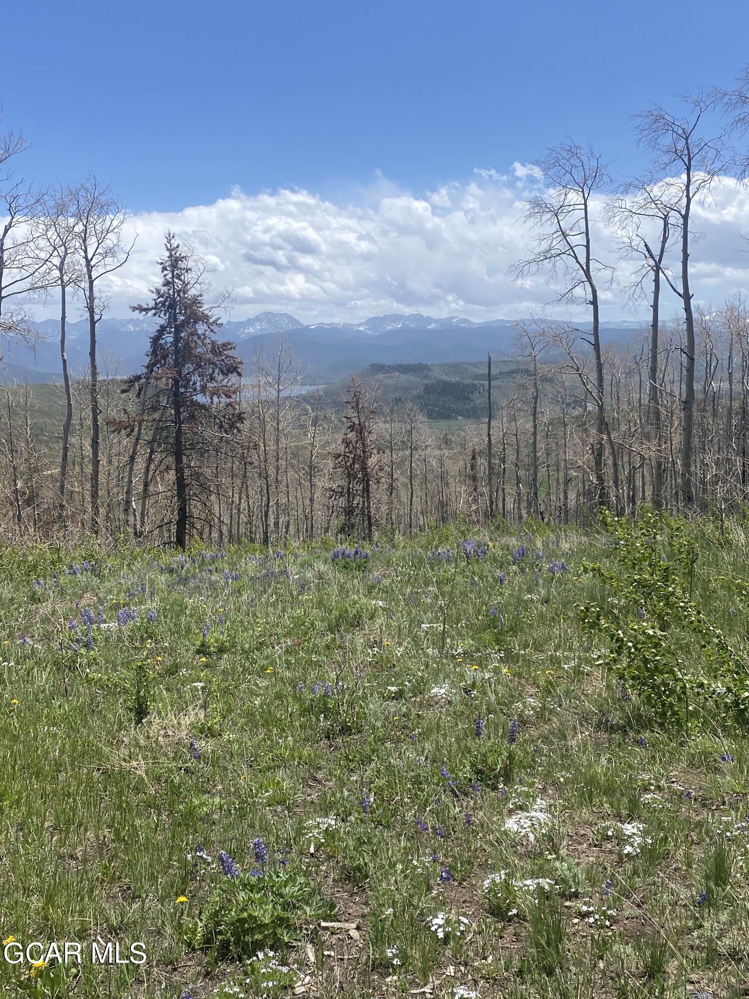 100 GCR 41104110/SOUTHFORK