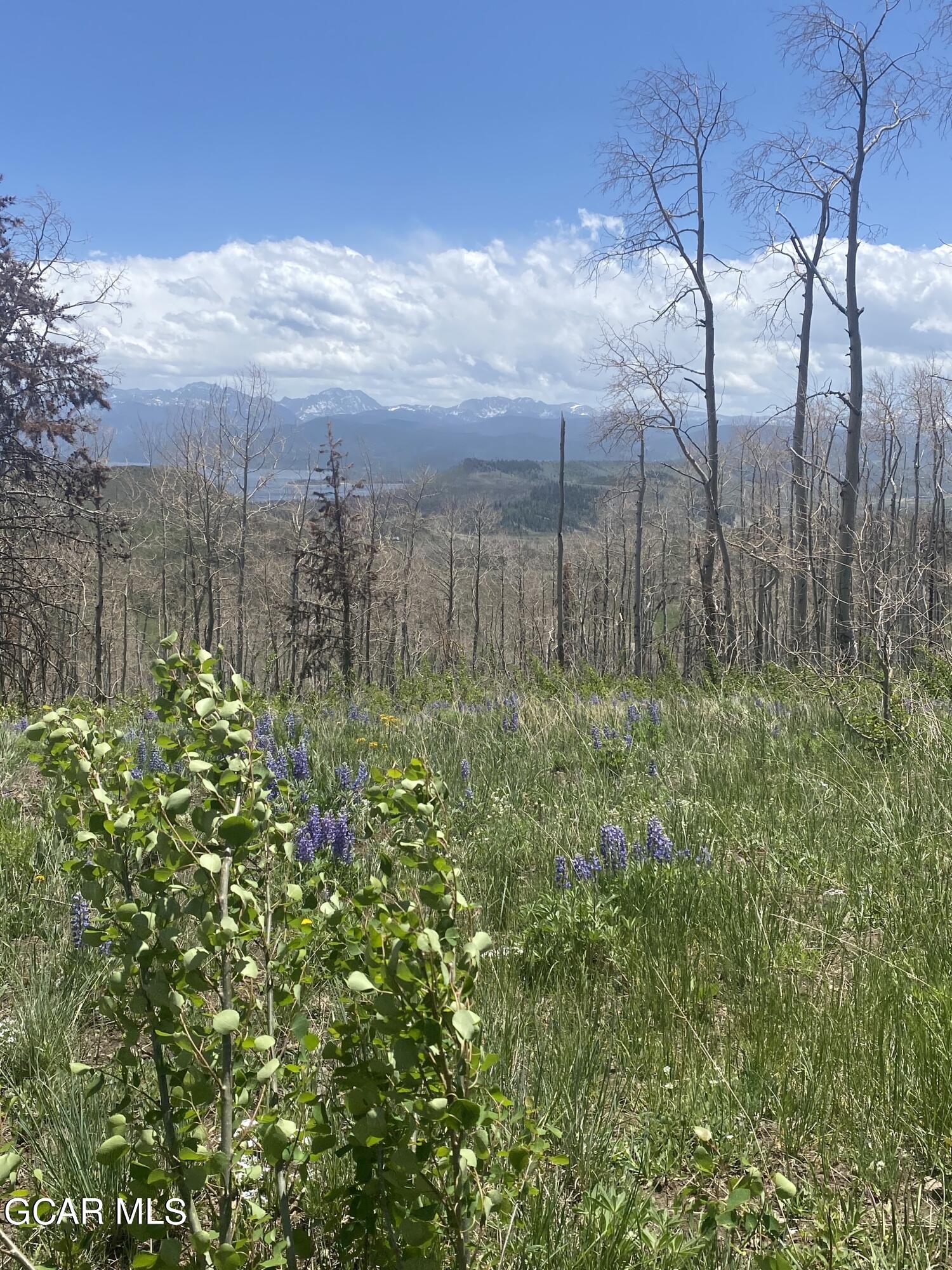 100 GCR 41104110/SOUTHFORK