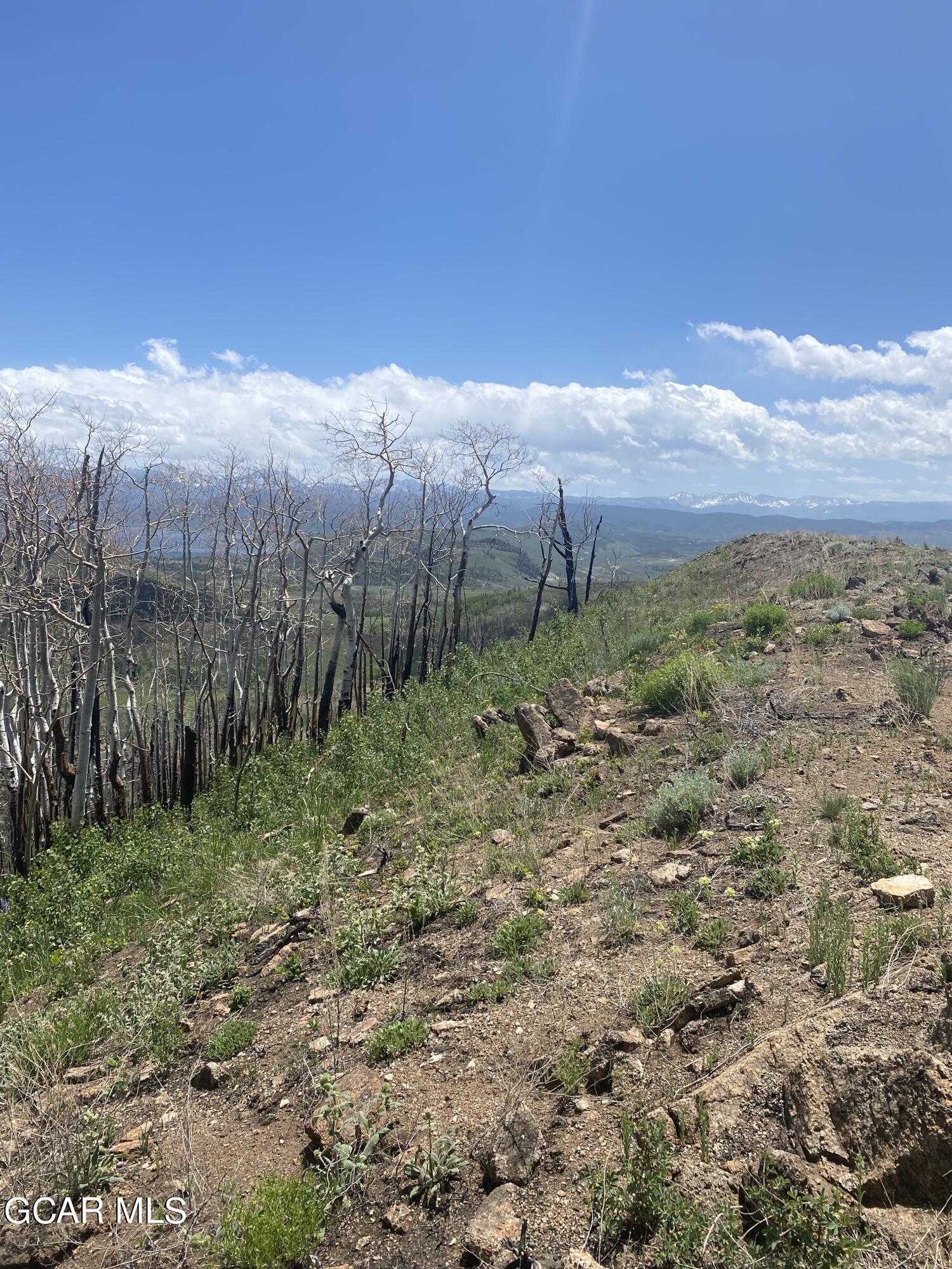 100 GCR 41104110/SOUTHFORK