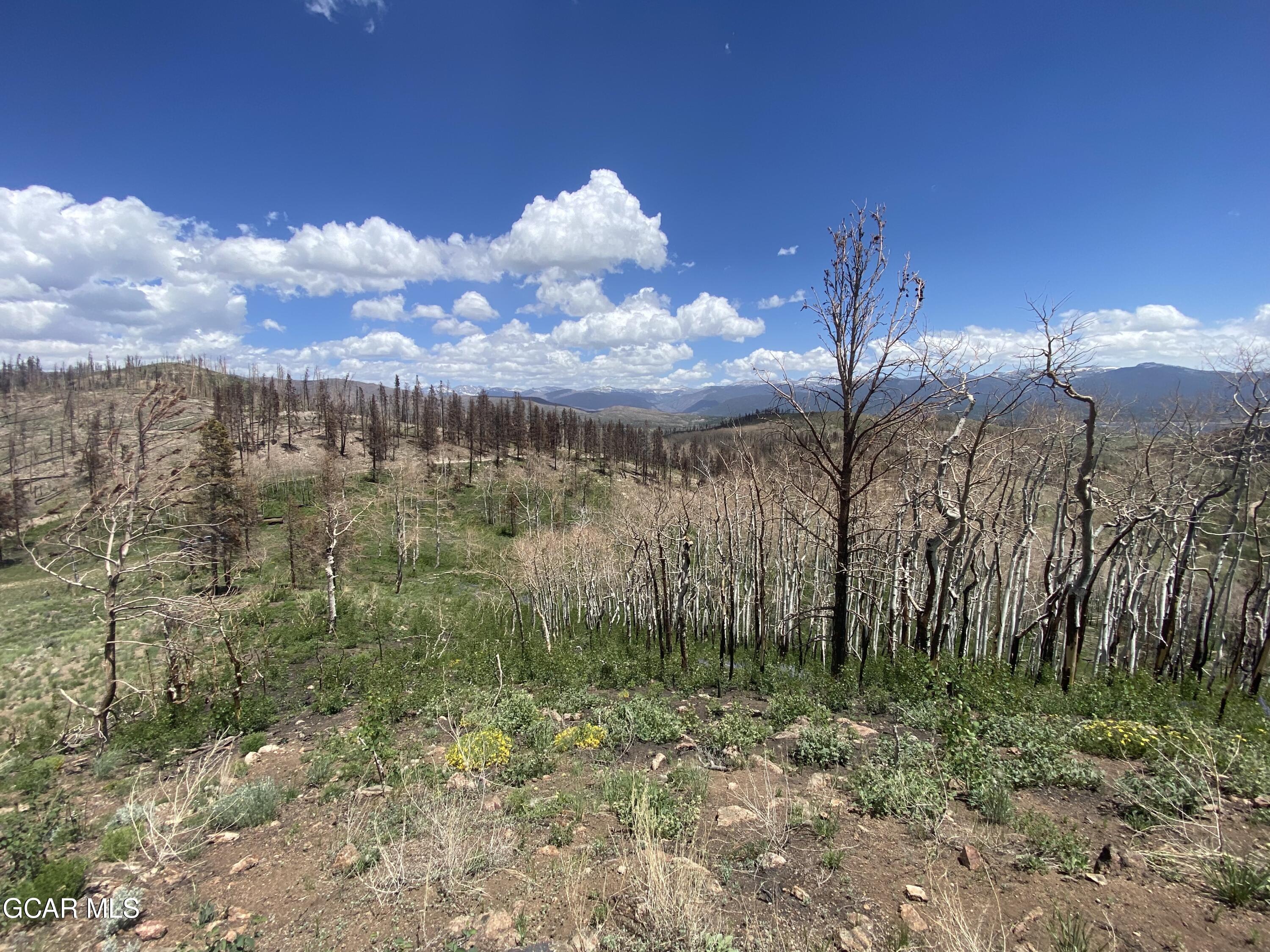 100 GCR 41104110/SOUTHFORK