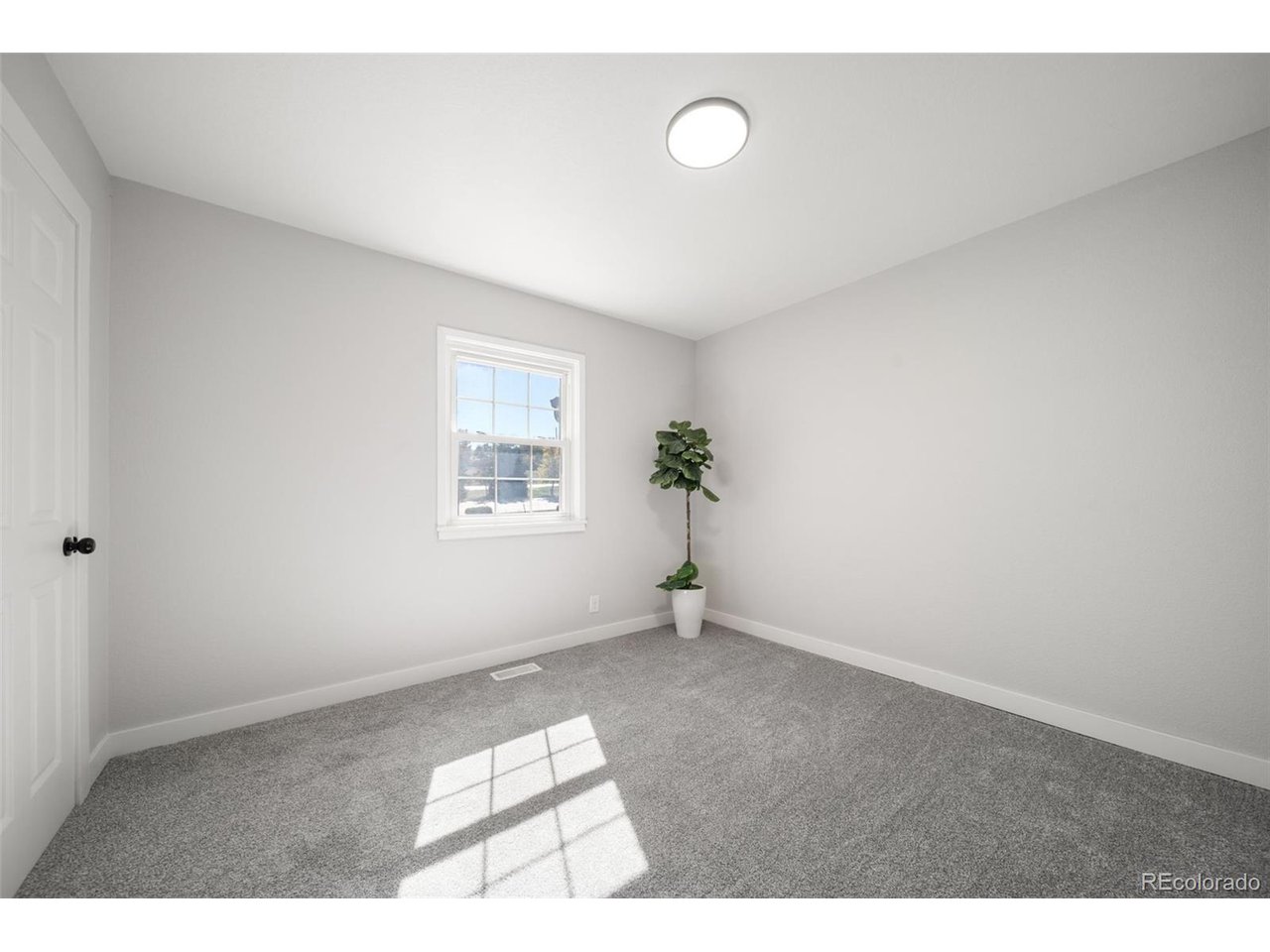 2141 Carrol Ct
