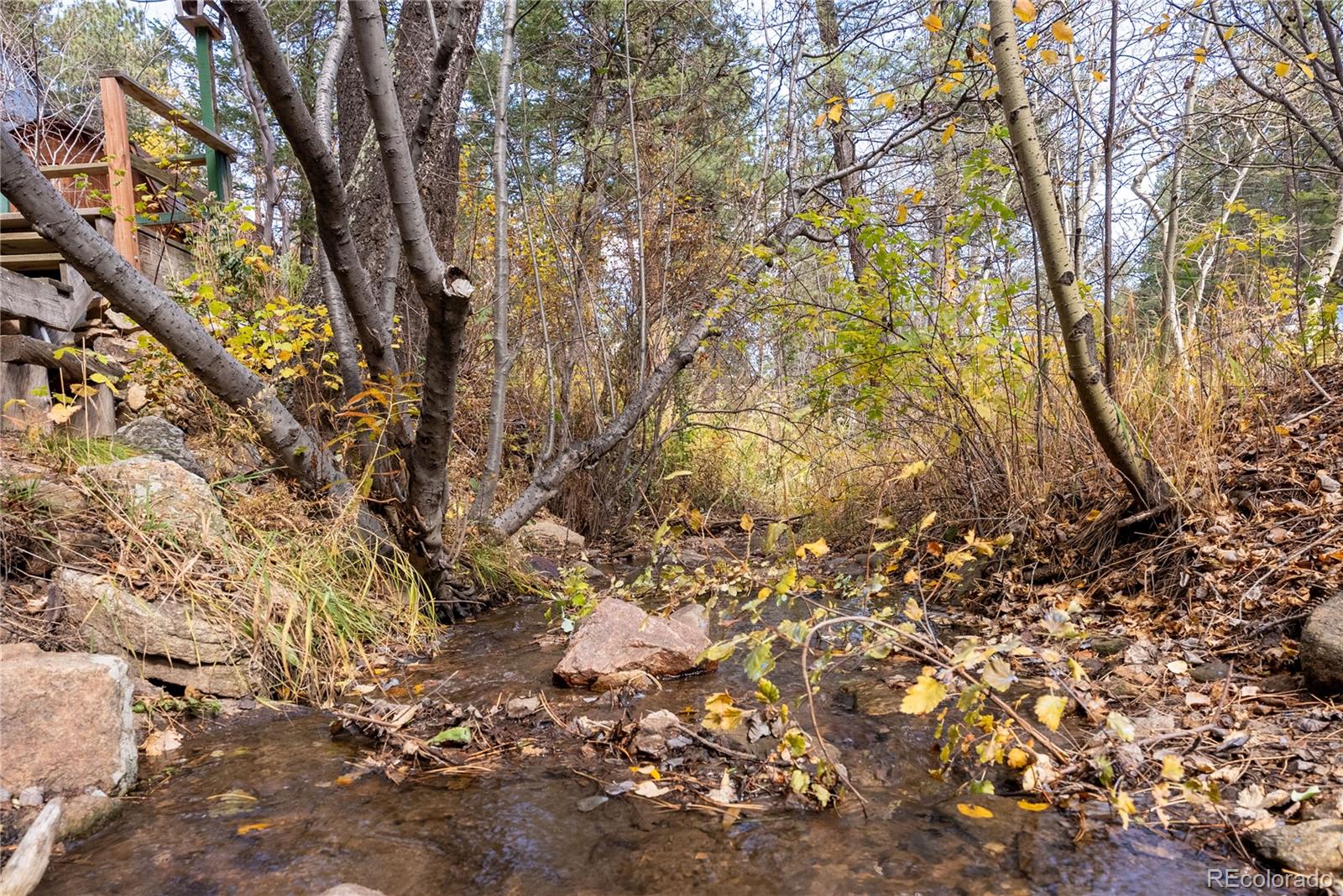 10853 Twin Spruce Road