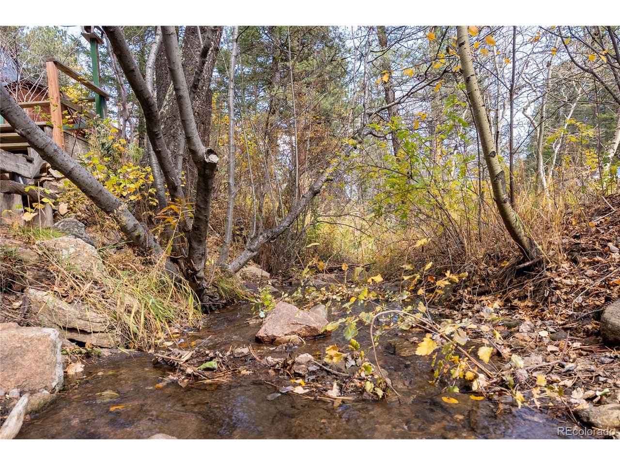 10853 Twin Spruce Rd