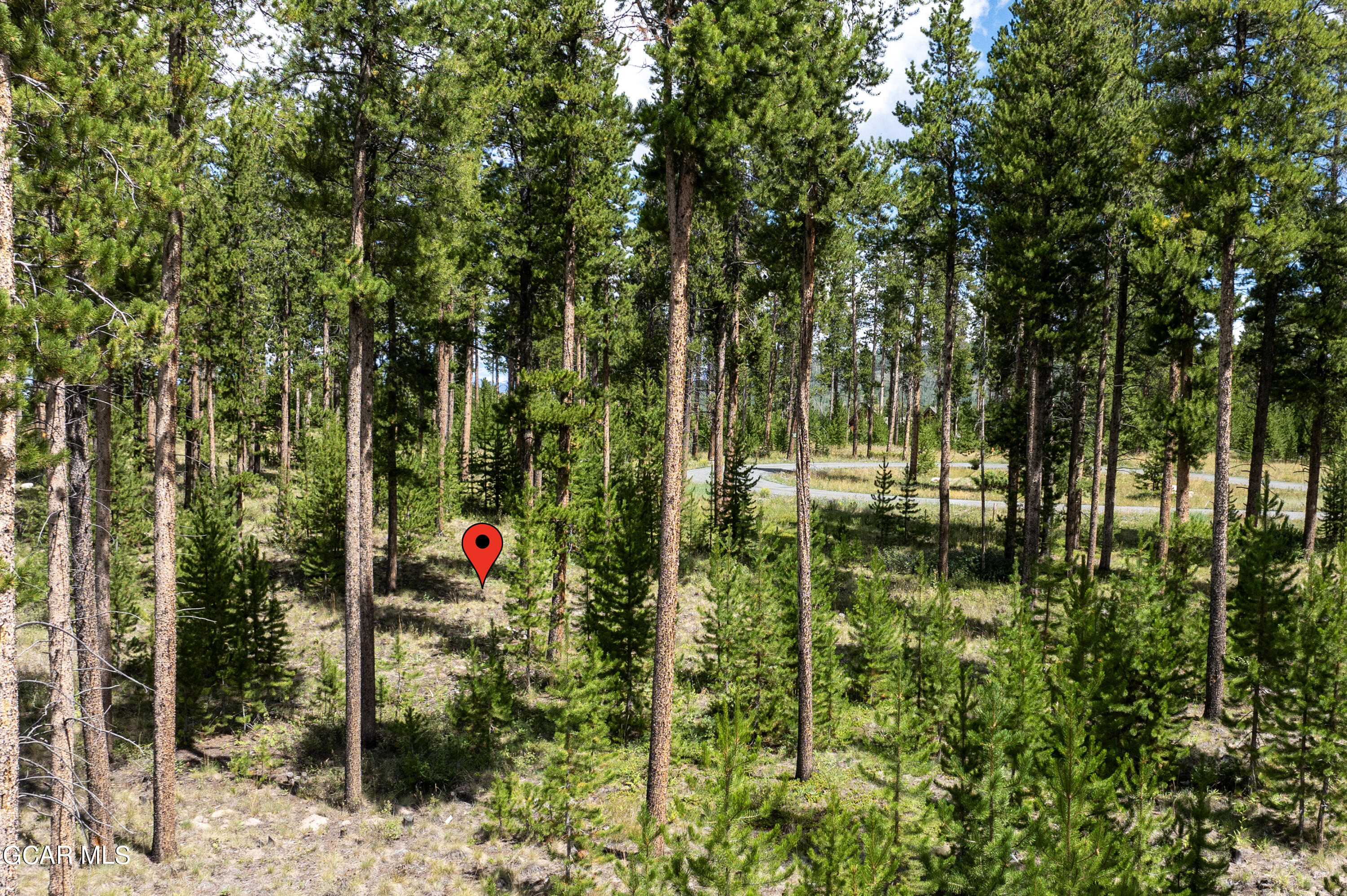 57 GCR 5116/Fefa Court