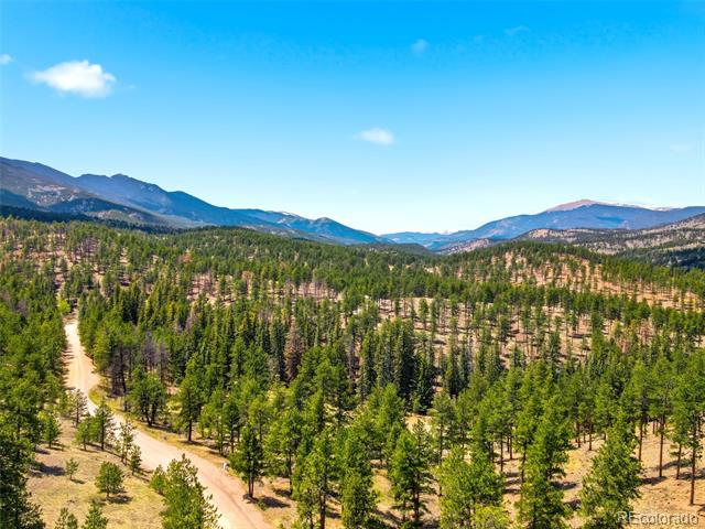 652 Payne Gulch Road