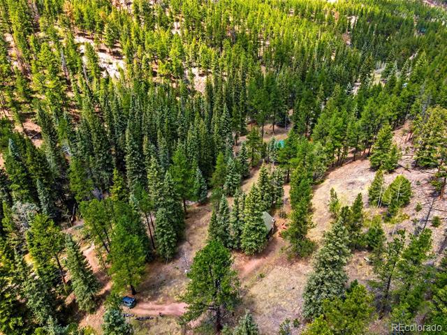 652 Payne Gulch Road