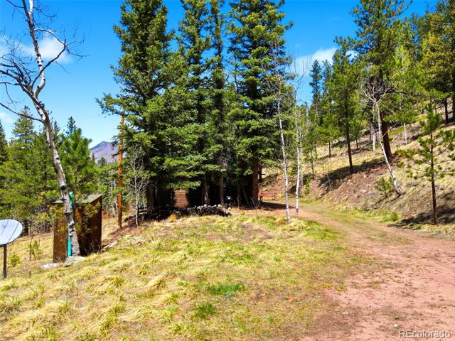 652 Payne Gulch Road
