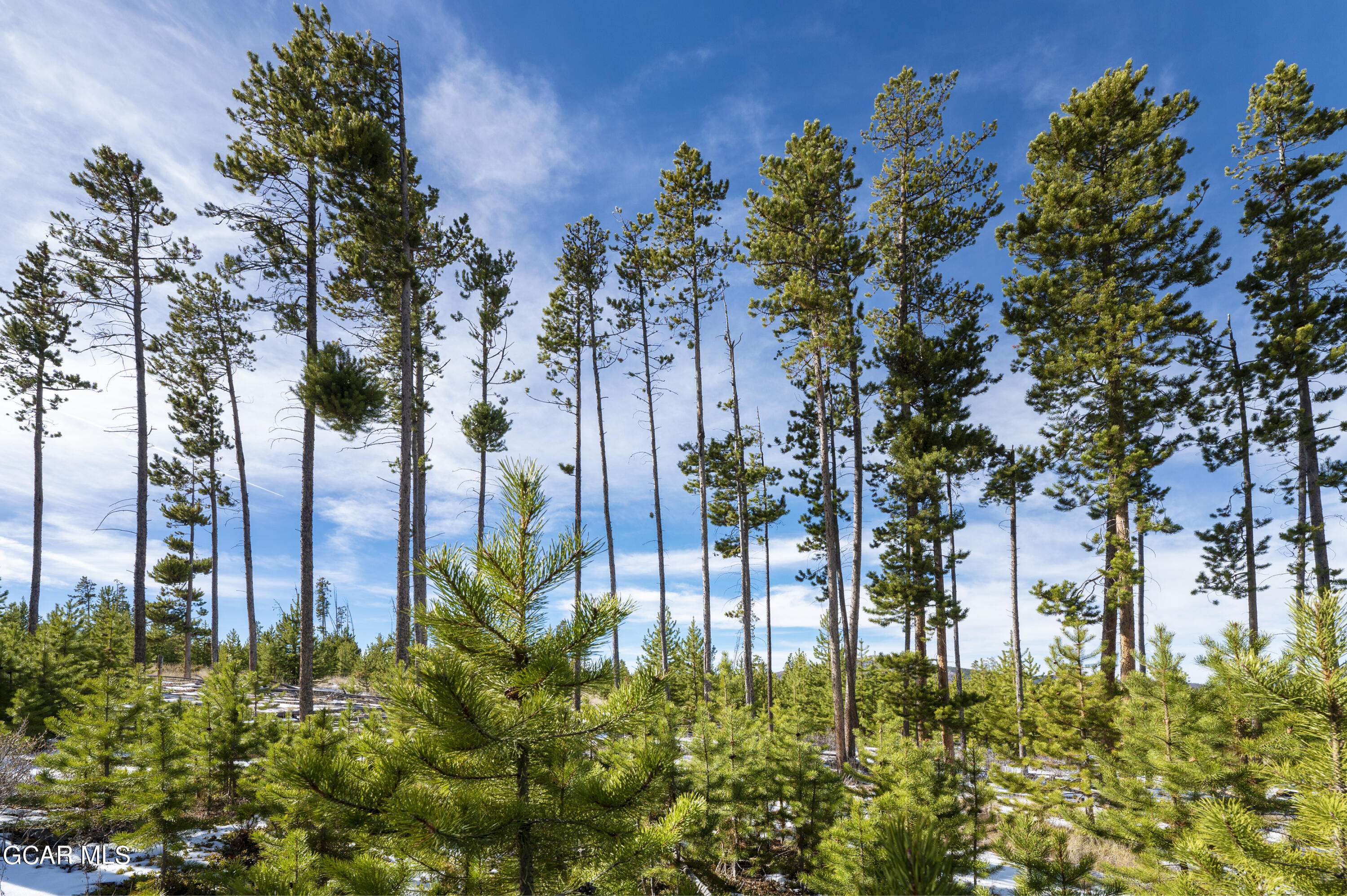 1952 Golf Course Circle