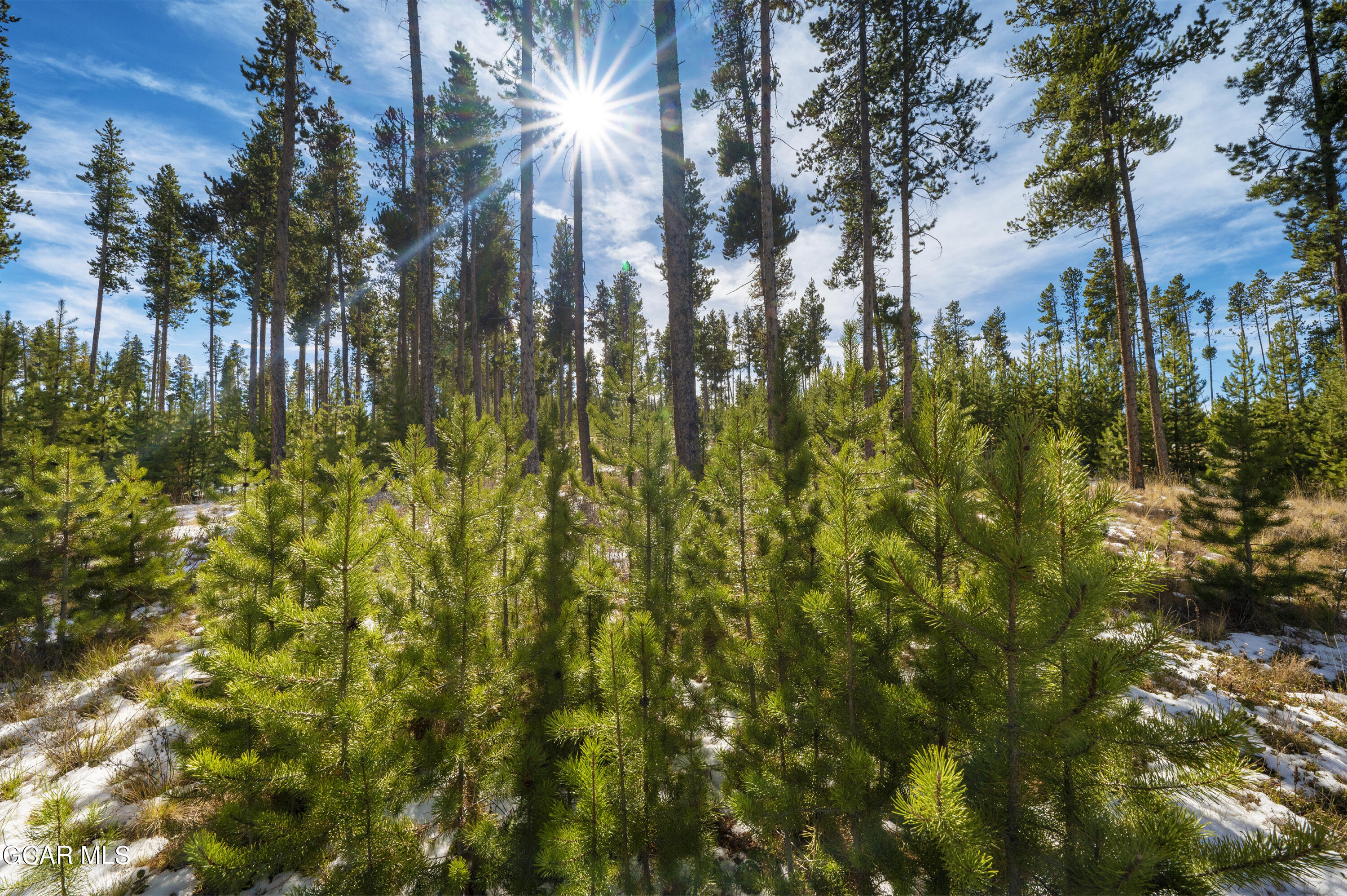 1952 Golf Course Circle