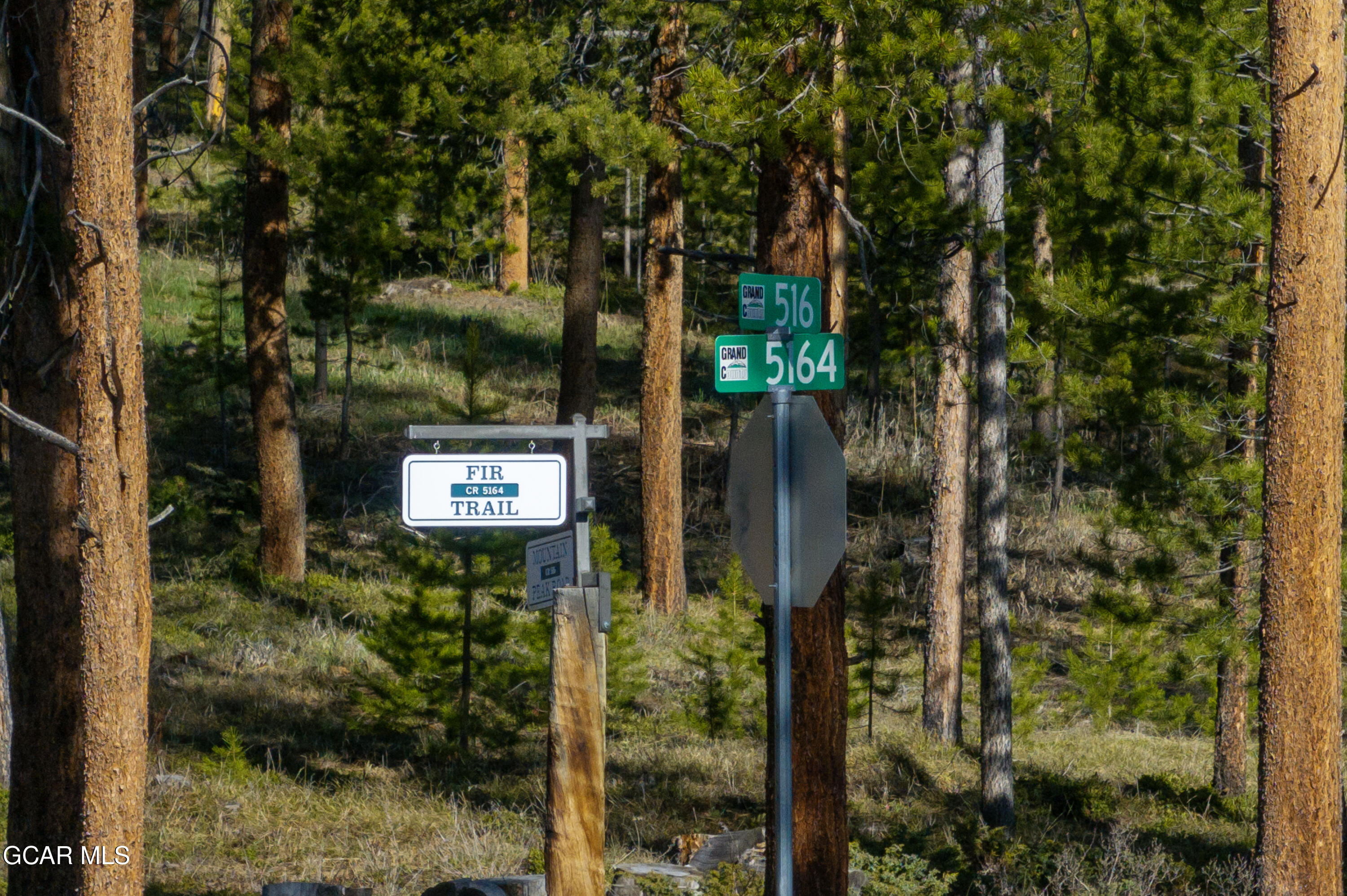 181 GCR 5164 Trail