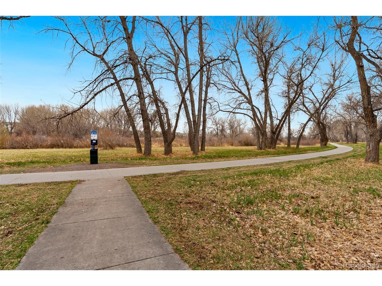 10733 Twenty Mile Rd 208