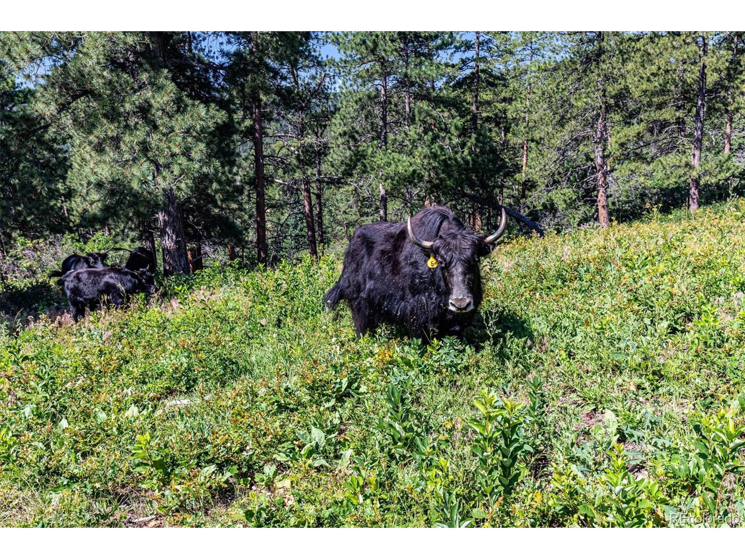 2833 N State Highway 67