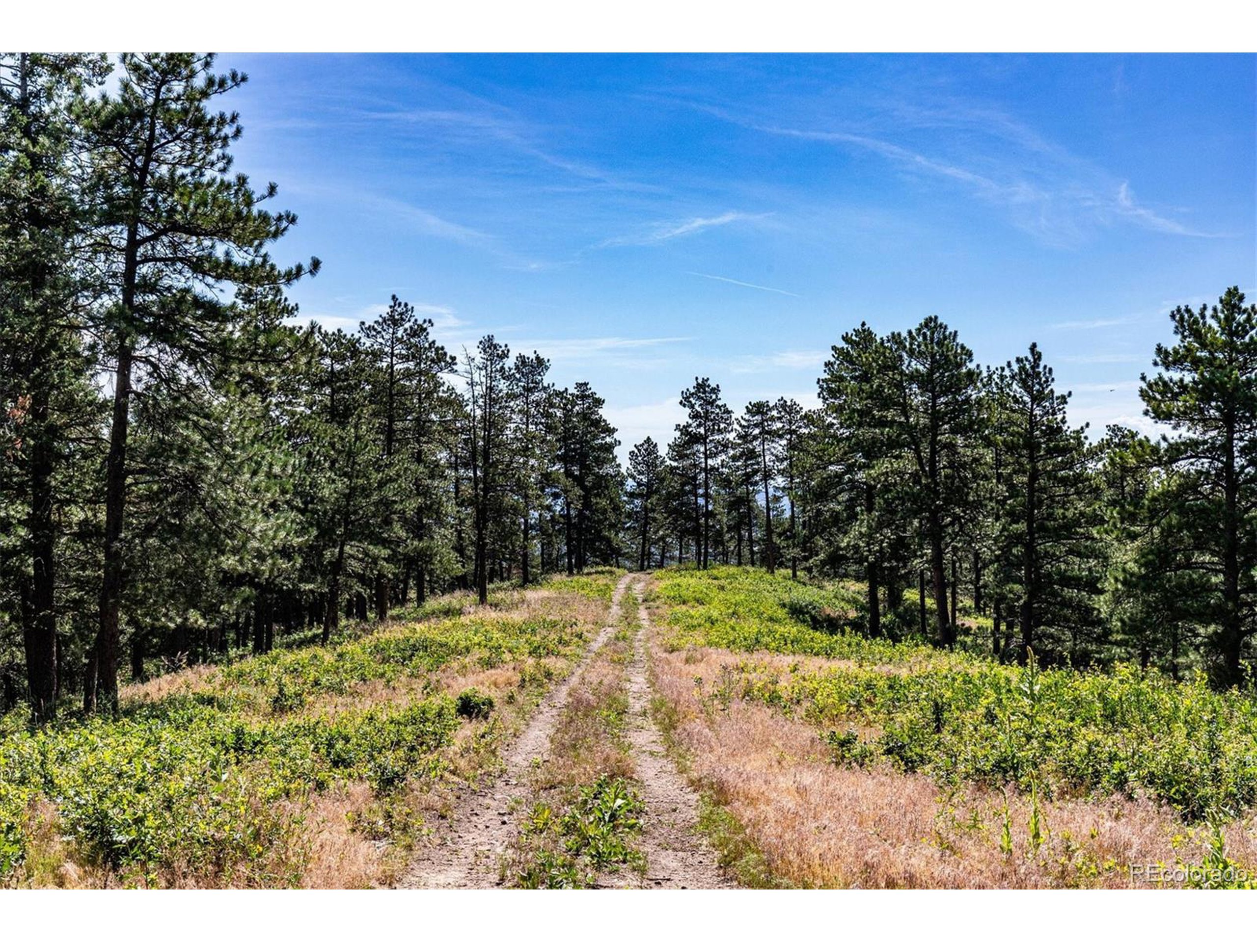 2833 N State Highway 67