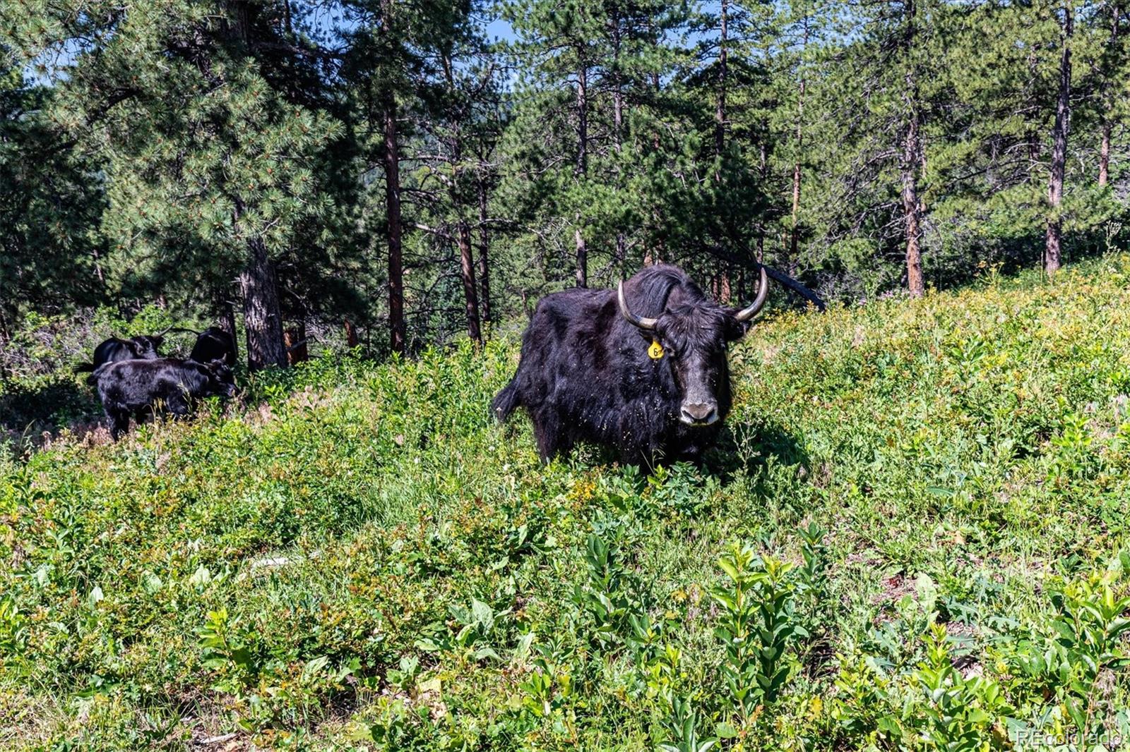 2833 N State Highway 67