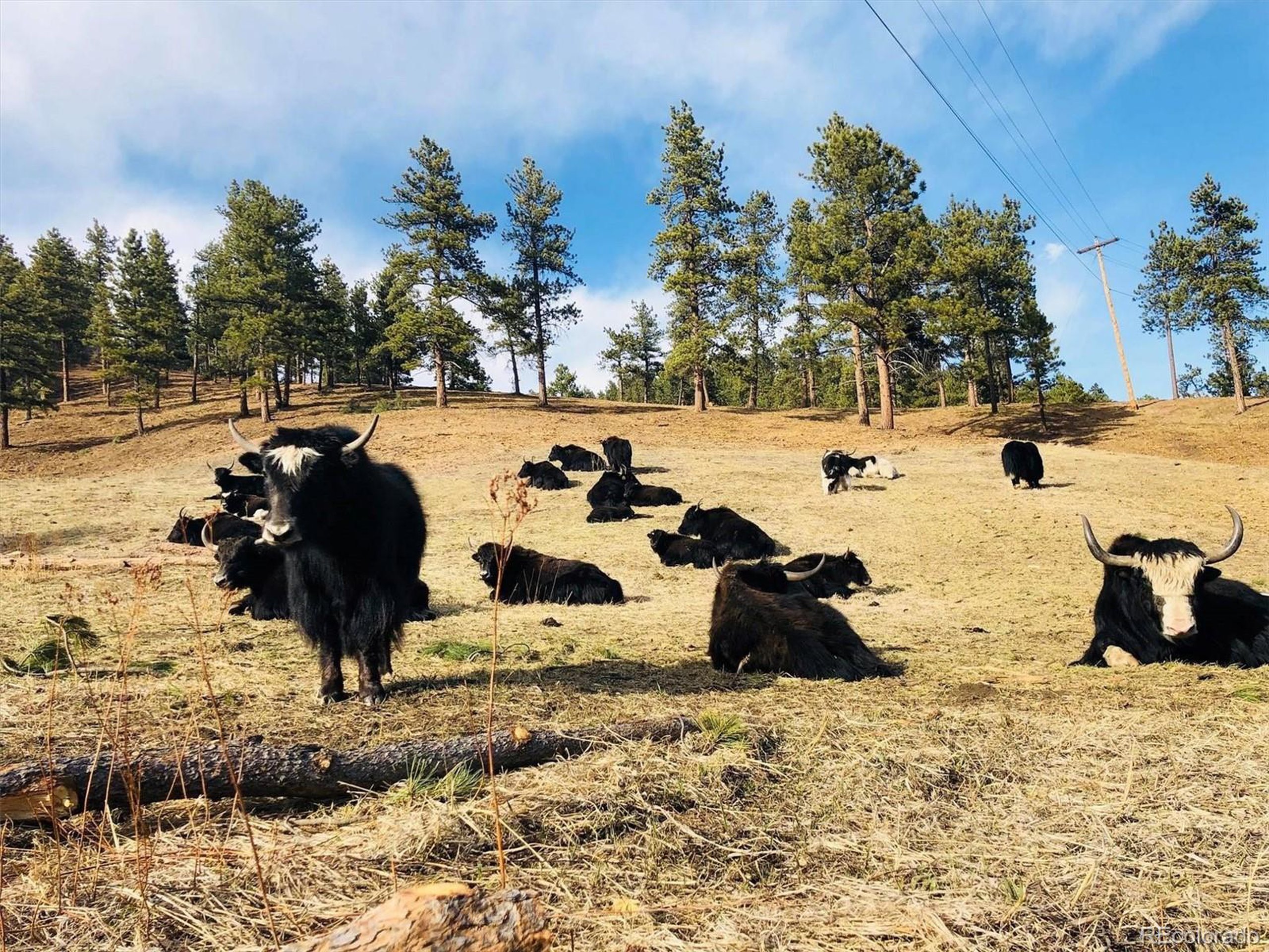 2833 N State Highway 67