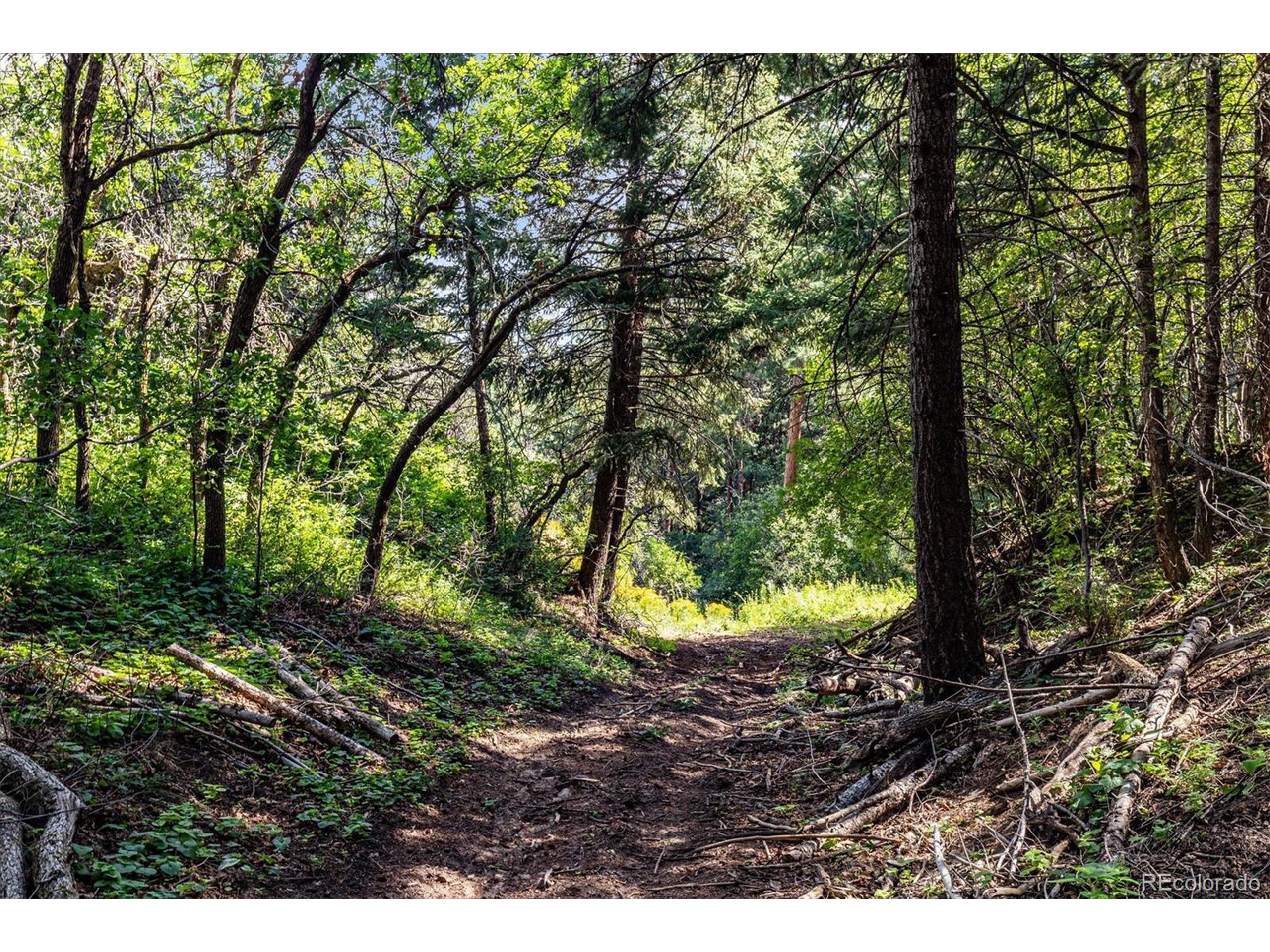 2833 N State Highway 67