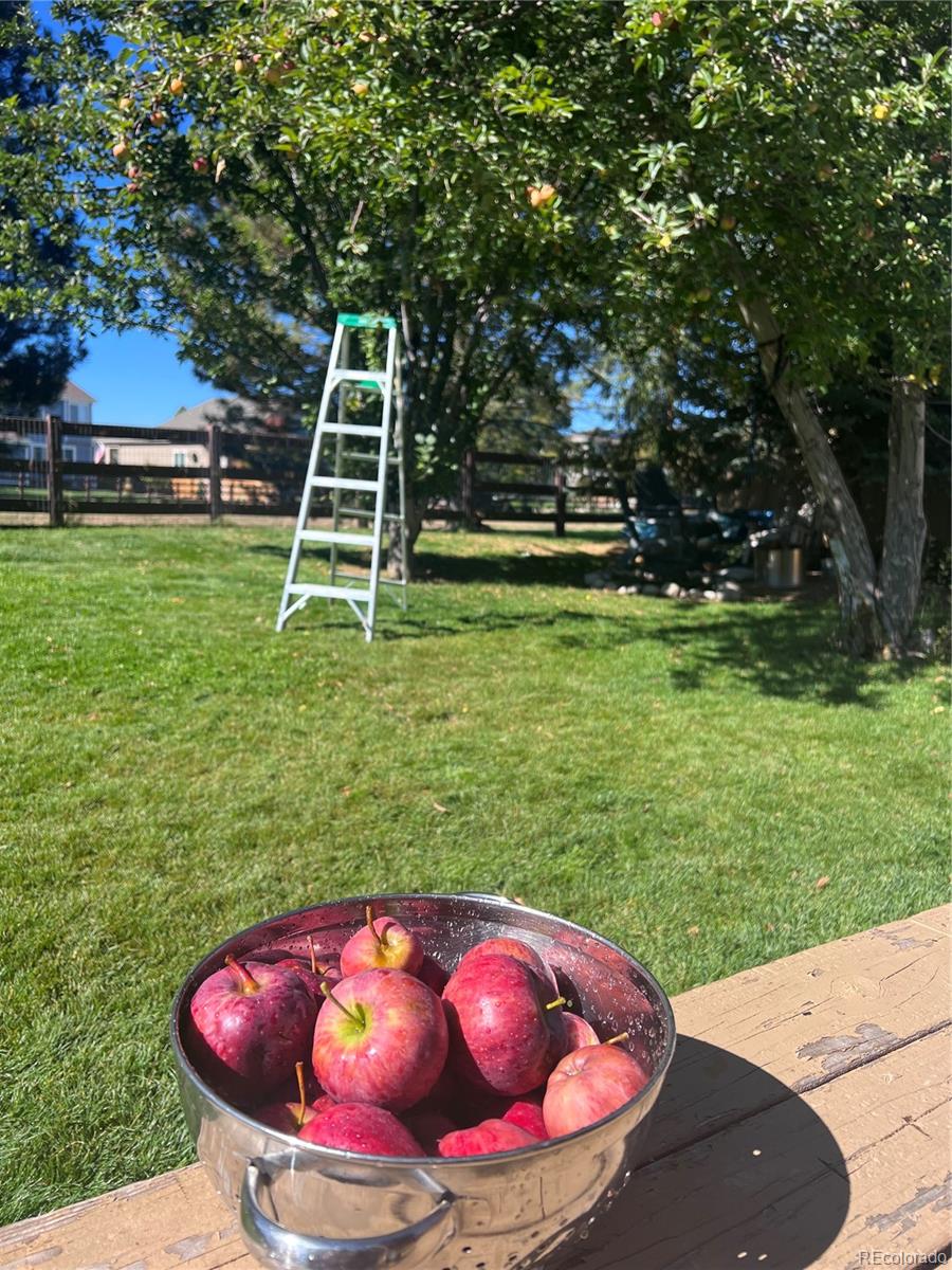 13149 Jasmine Street