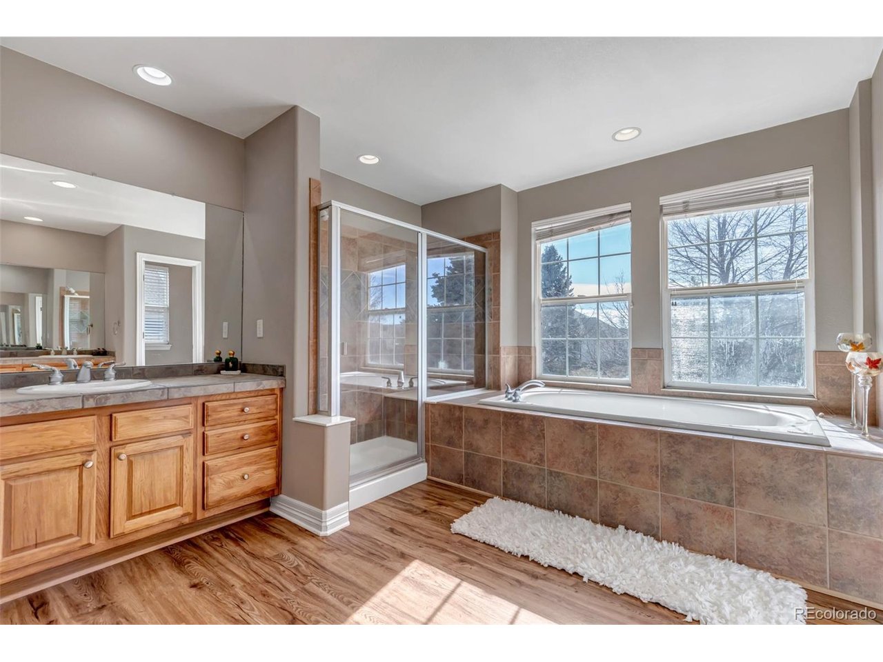 3188 Soaring Eagle Ln