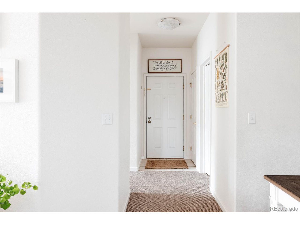 7428 S Alkire St 205