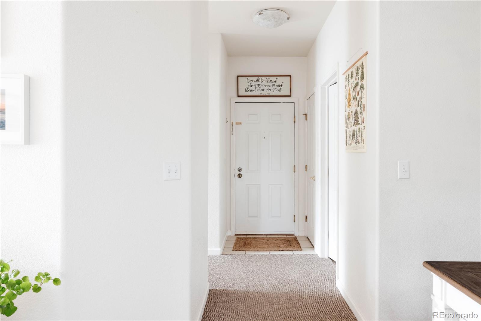 7428 S Alkire Street Unit: 205