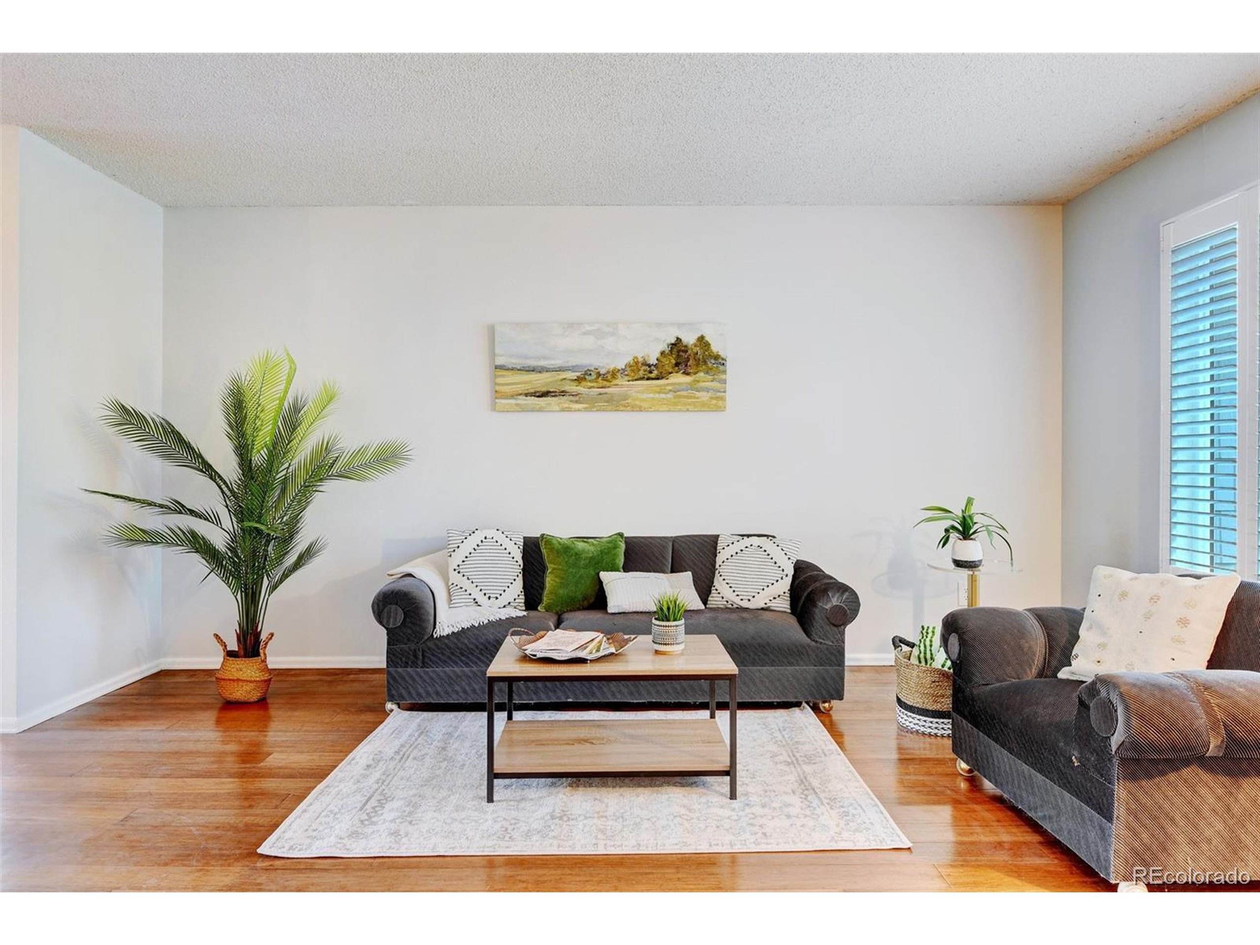 209 Matchless St