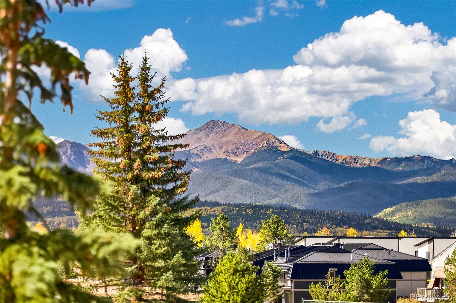 382 County Road 832 Unit: 6