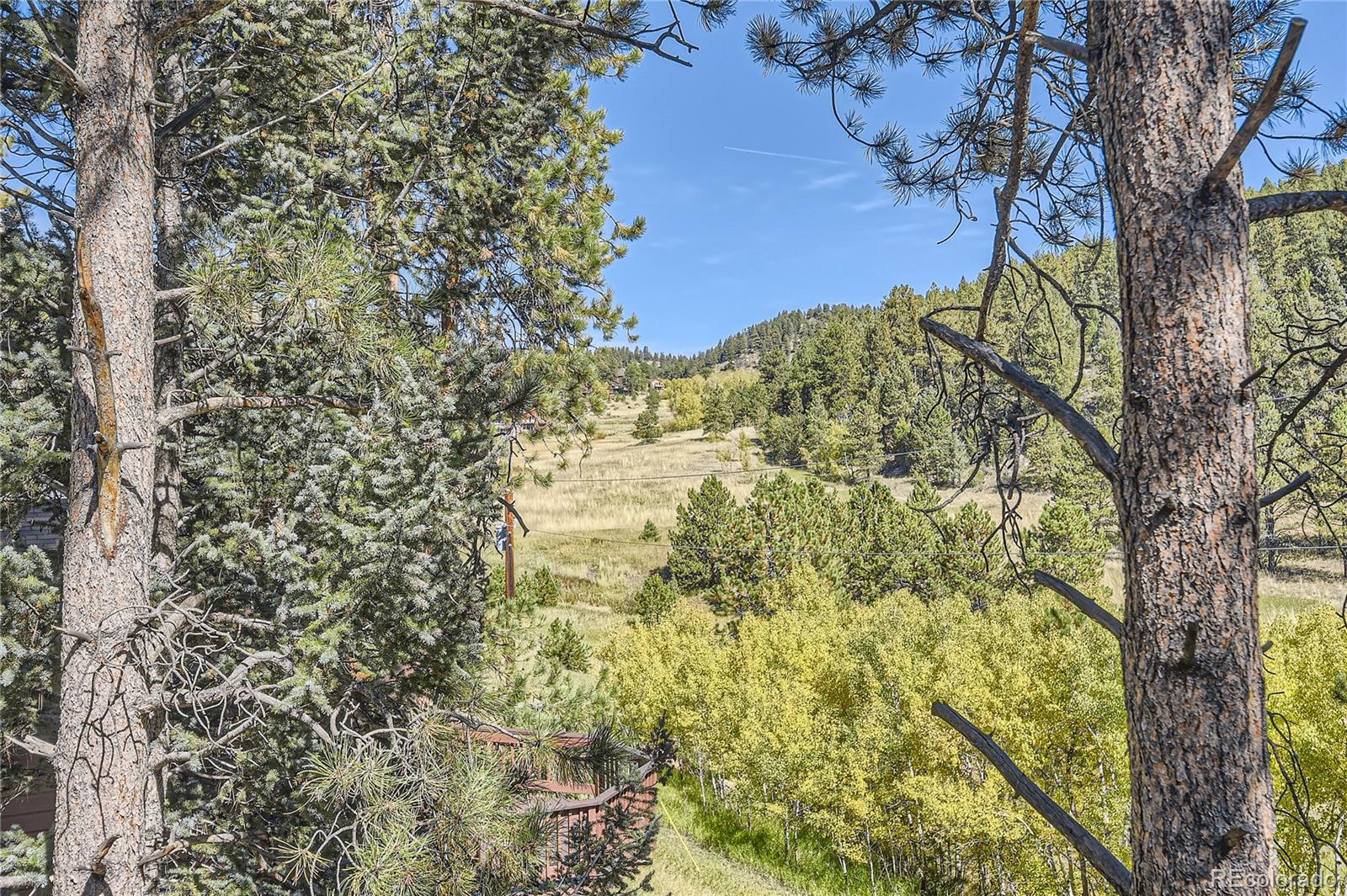 682 Wisp Creek Drive