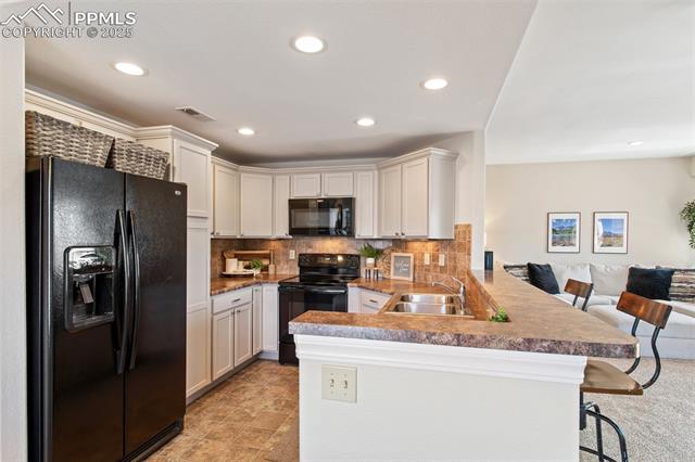 1530 Little Bear Creek Point 9