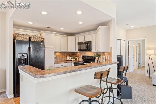 1530 Little Bear Creek Point 9