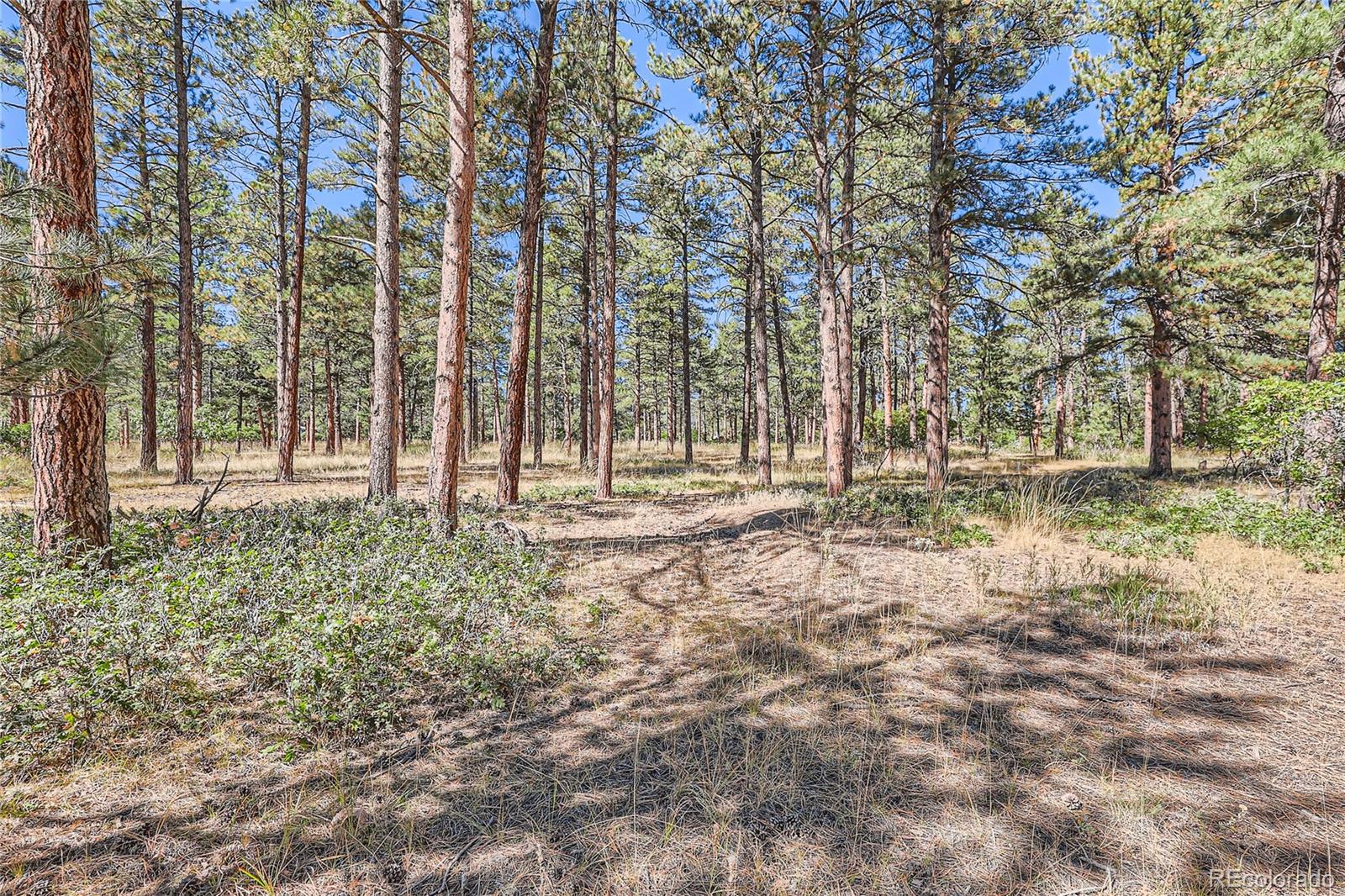 5800 Pike Drive