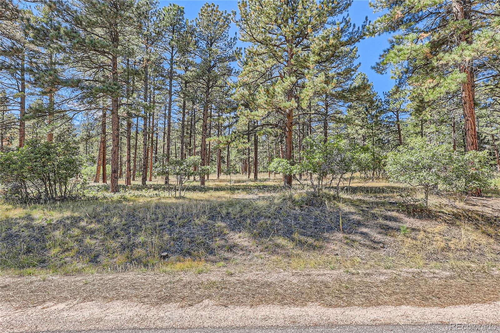 5800 Pike Drive