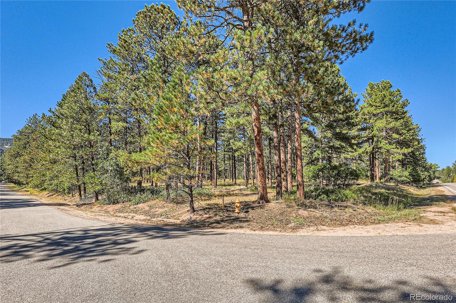 5800 Pike Drive
