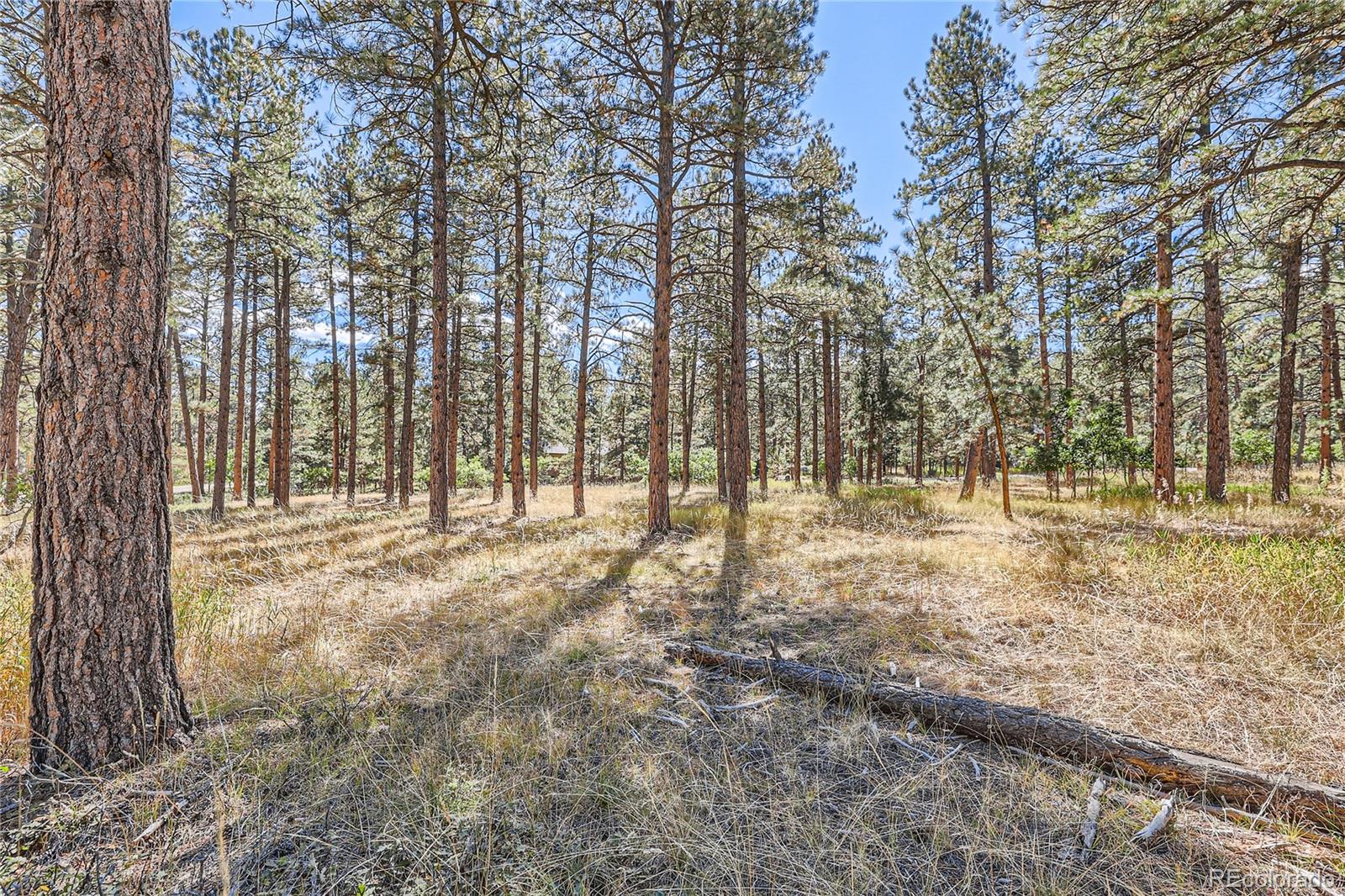 5800 Pike Drive