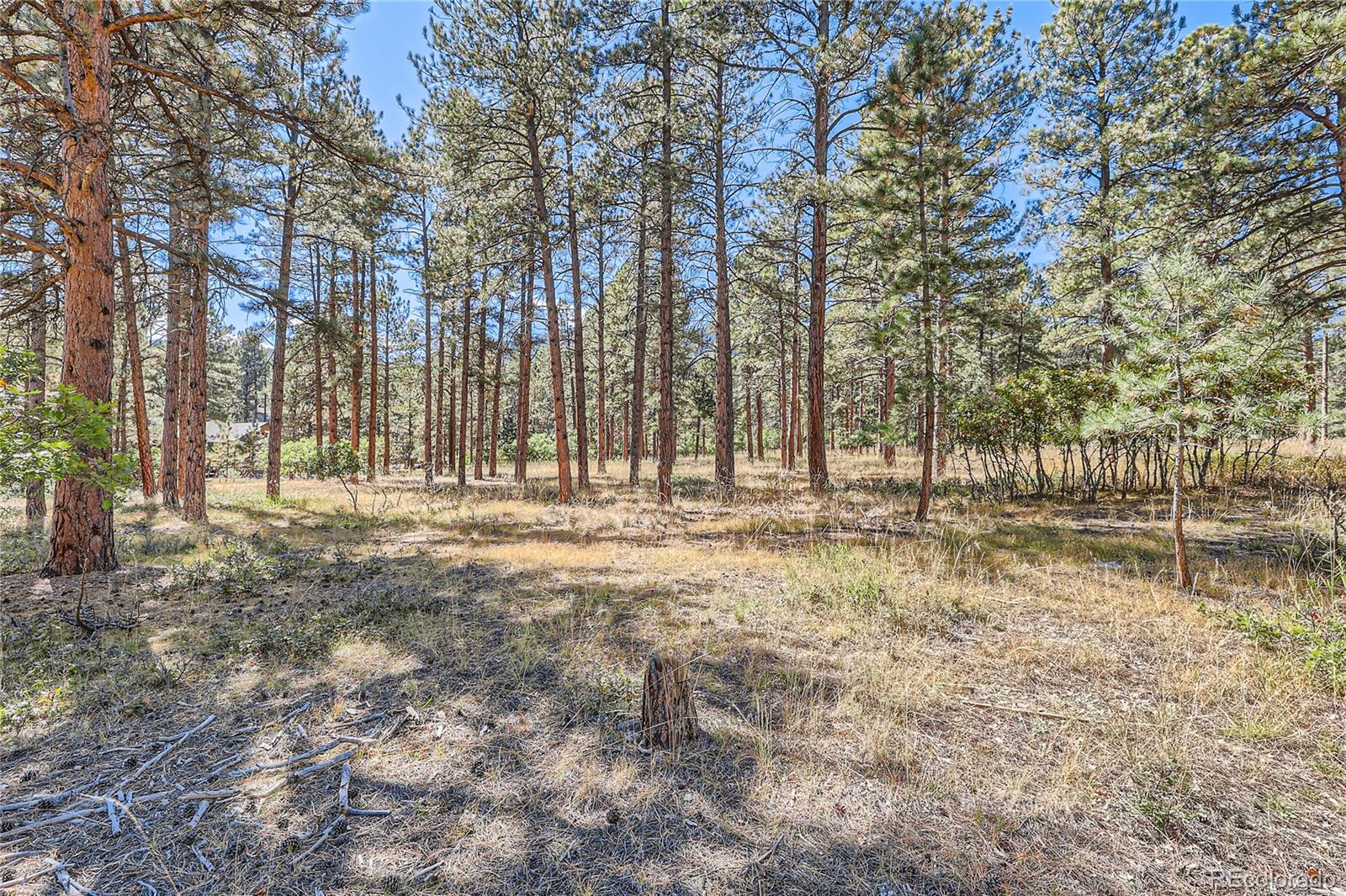 5800 Pike Drive