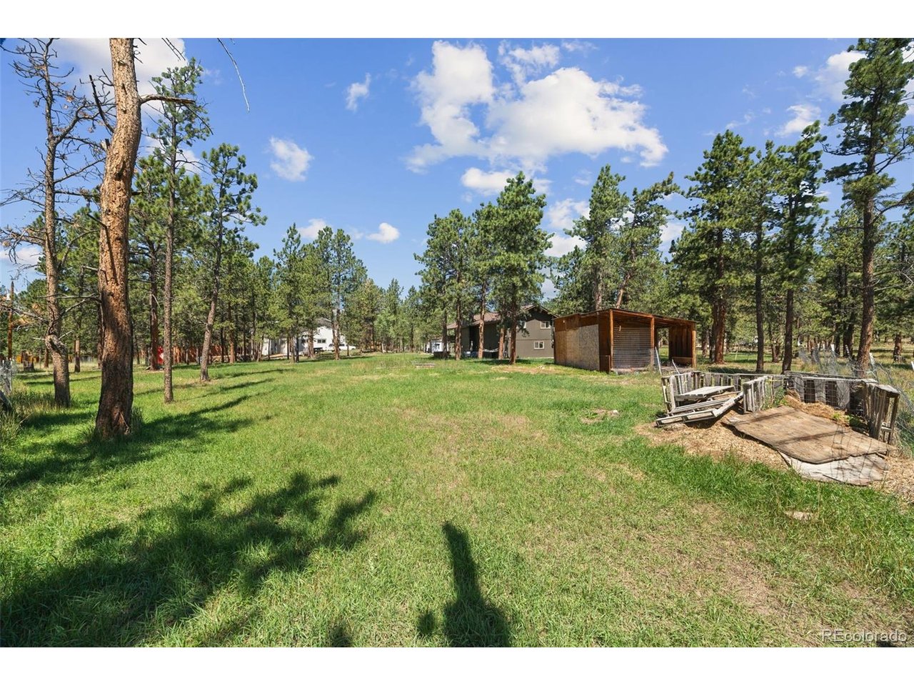96 Gunsmoke Dr