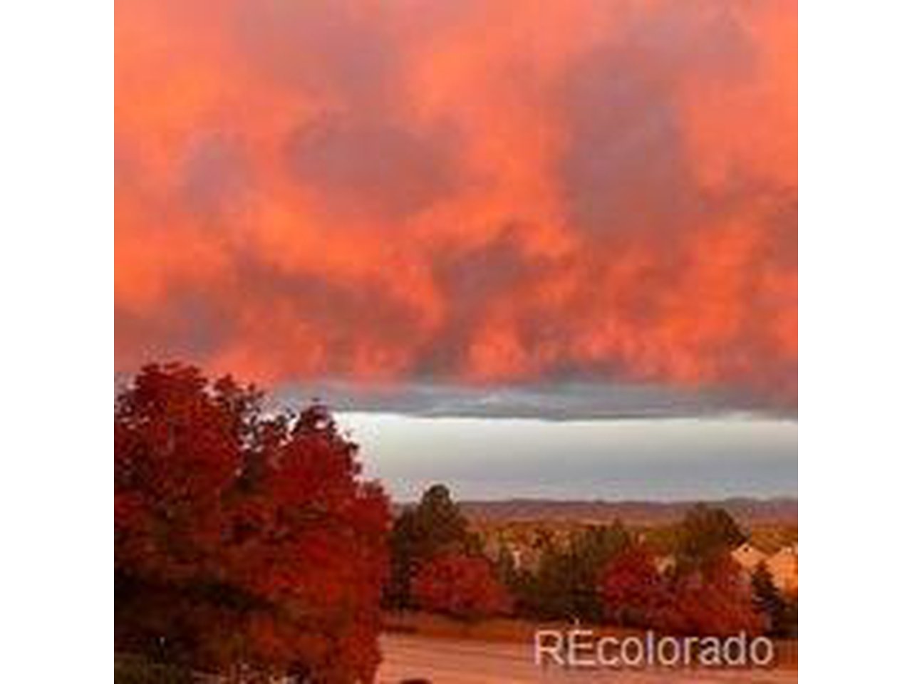 9331 Mountain Brush St