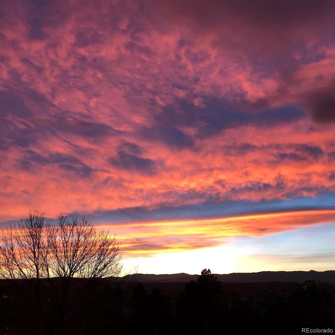 9331 Mountain Brush Street