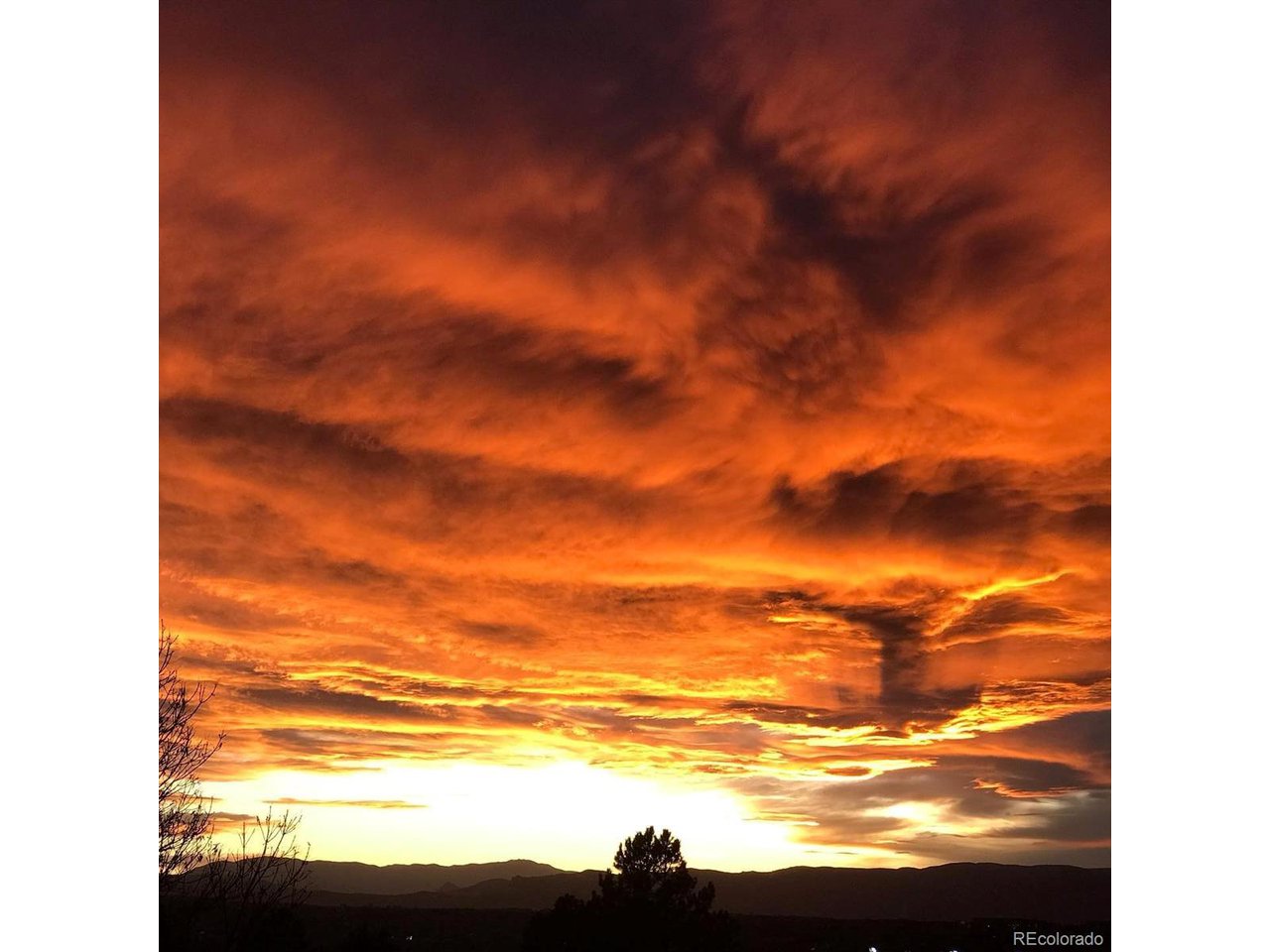 9331 Mountain Brush St