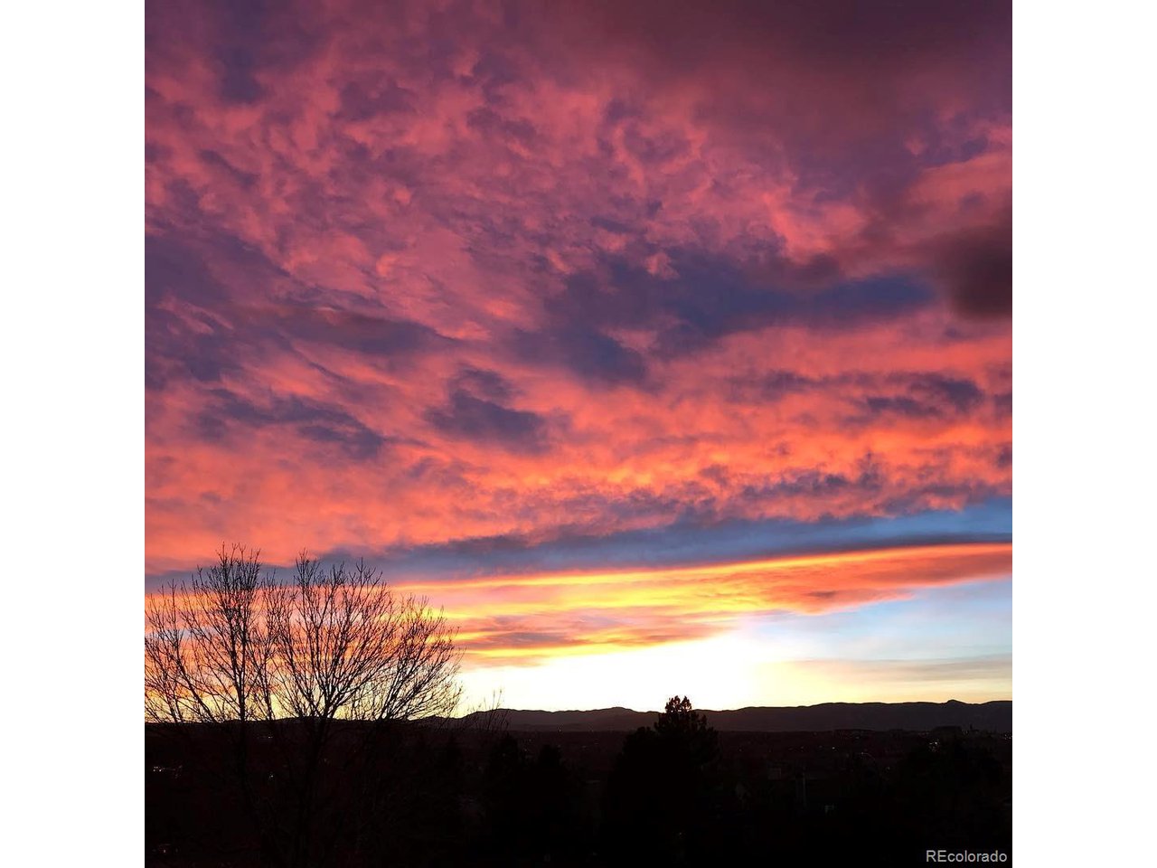 9331 Mountain Brush St