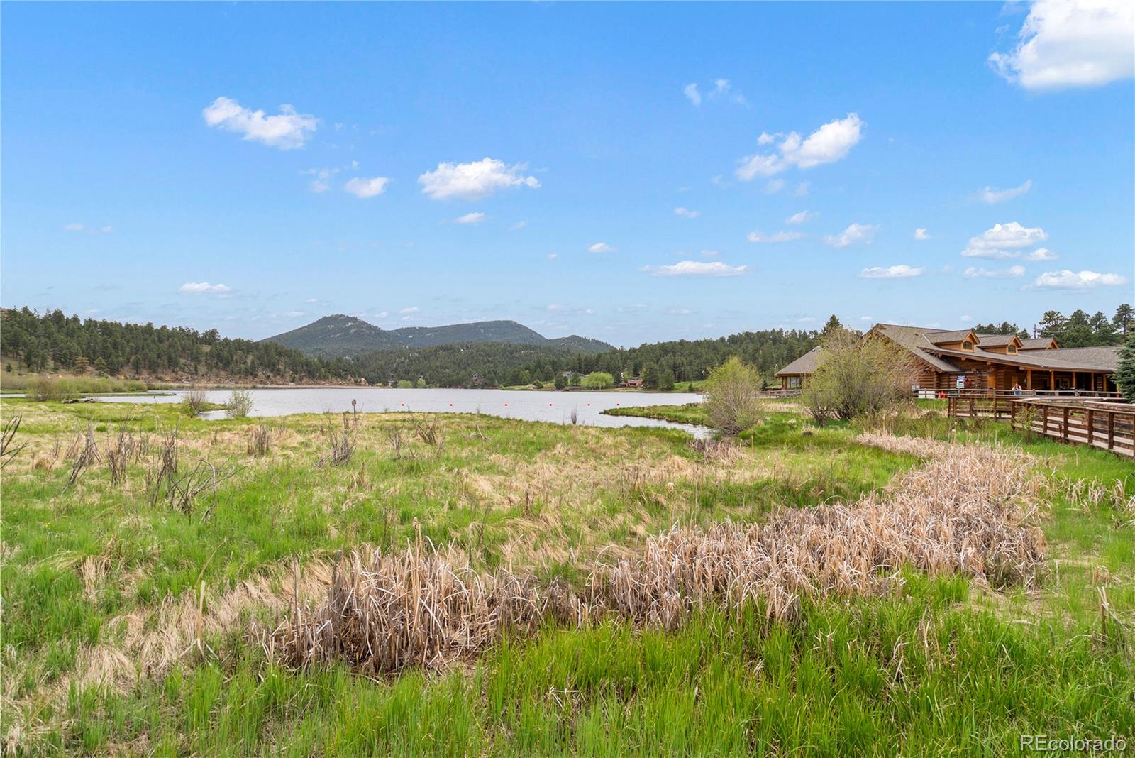 26351 Sheldon Street