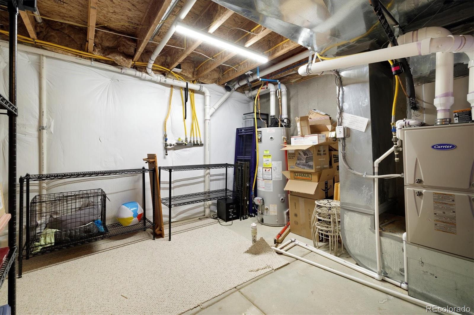 14443 W 88th Drive Unit: B