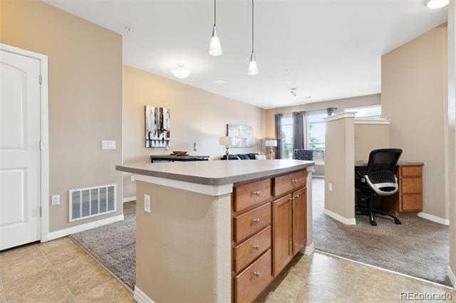 10176 Park Meadows Drive Unit: 2114