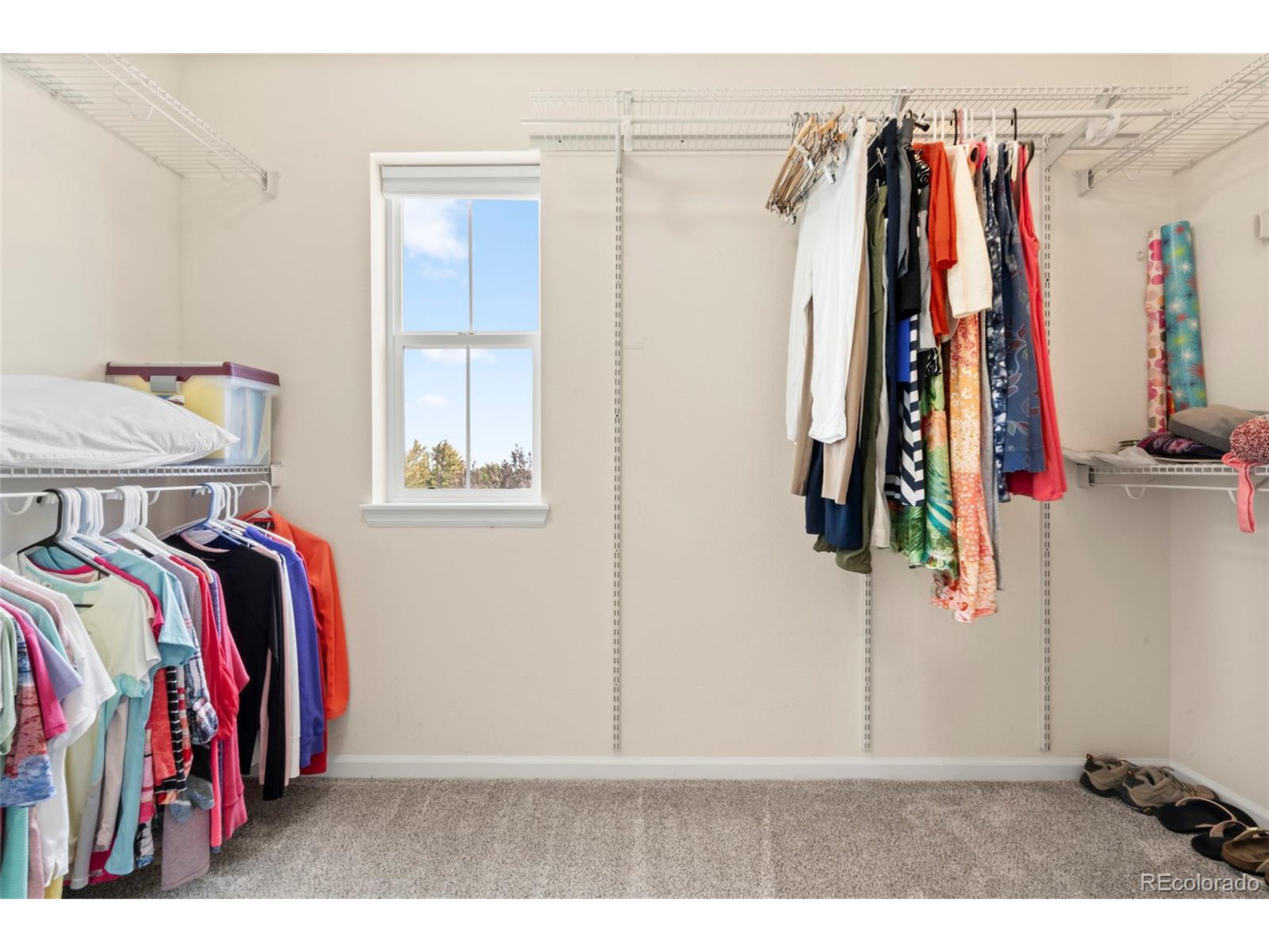 10415 Startrail Court