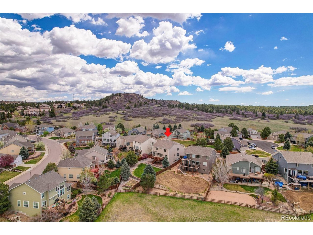 4133 Black Feather Trl