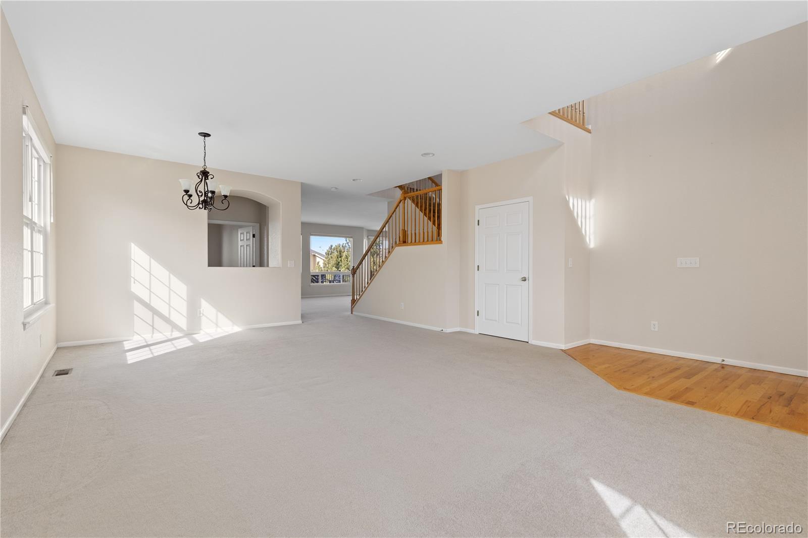 4133 Black Feather Trail